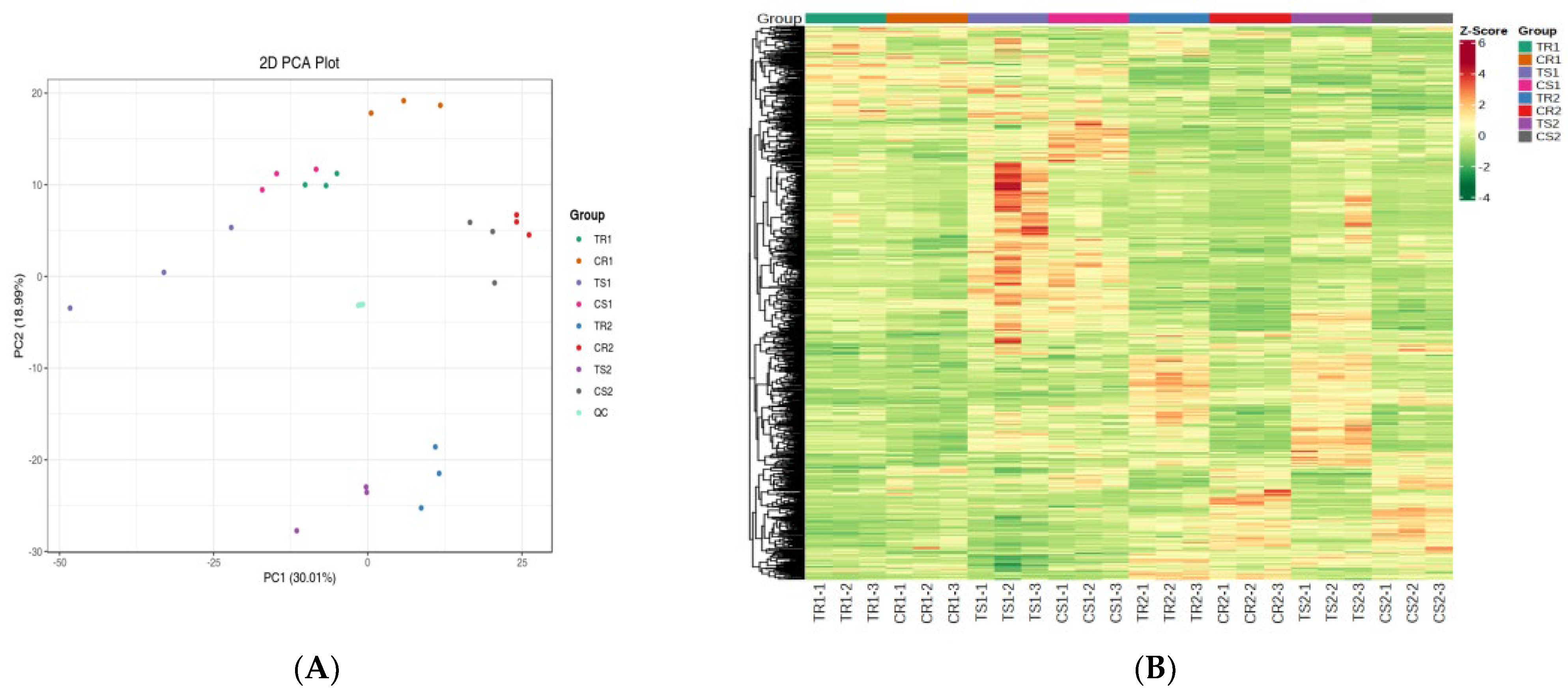 Oxidative stress phenotyping results of NOVEL ROS TFs Heatmap