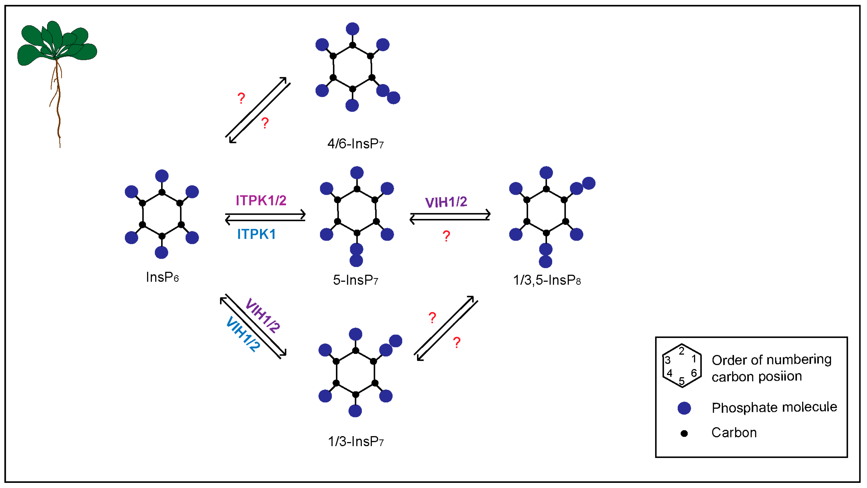 Biomolecules 13 01368 g001