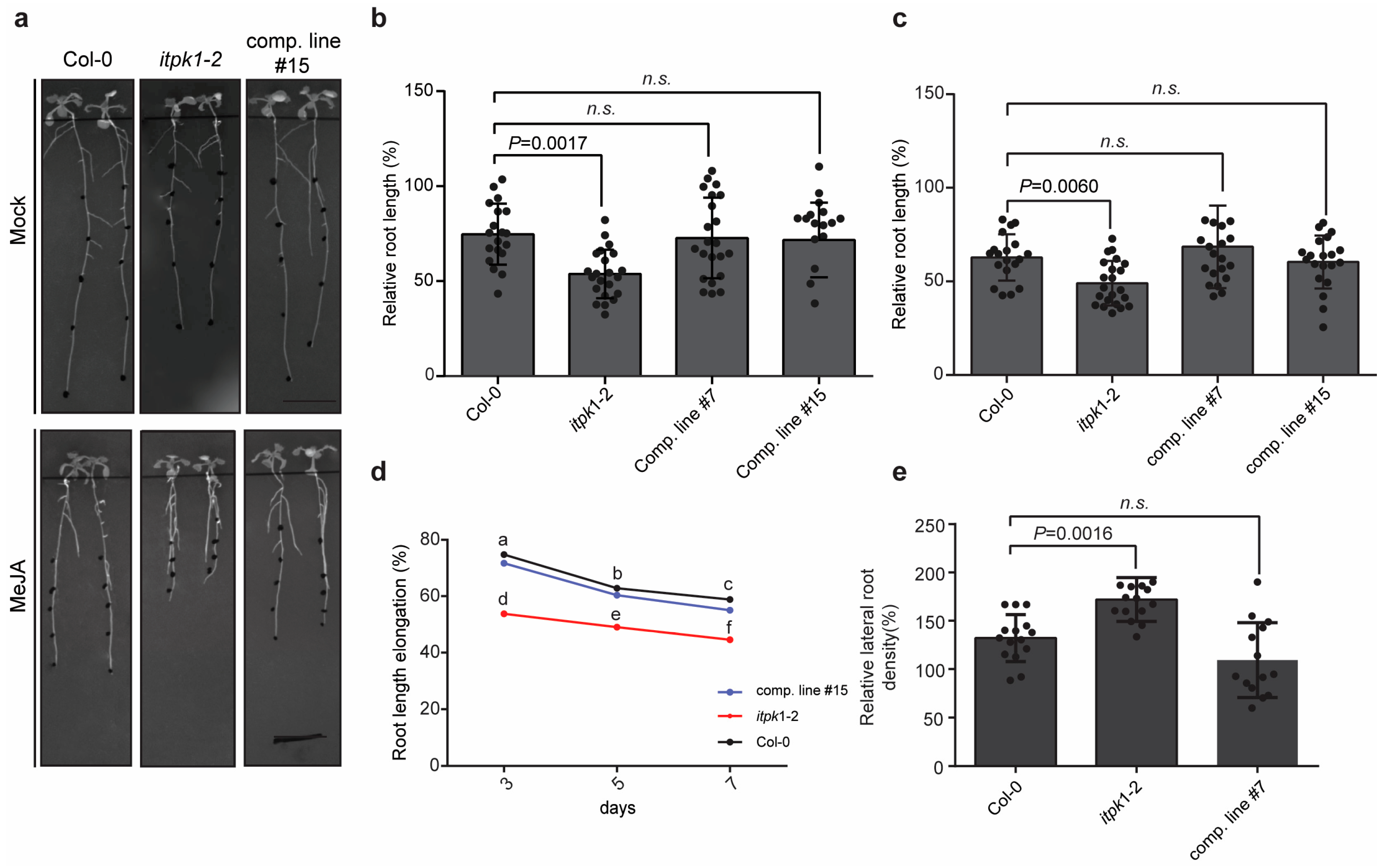 Biomolecules 13 01368 g002