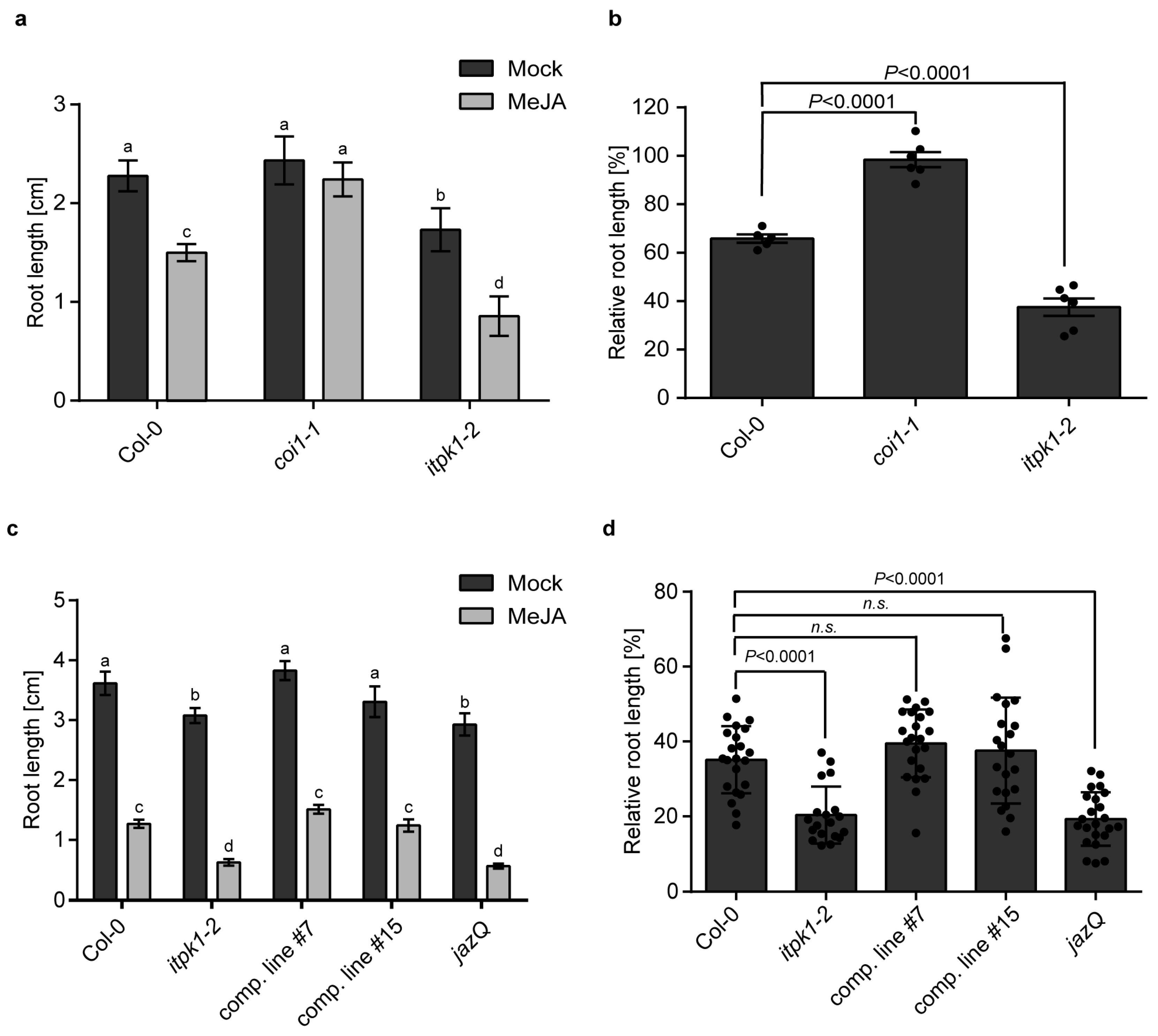Biomolecules 13 01368 g003