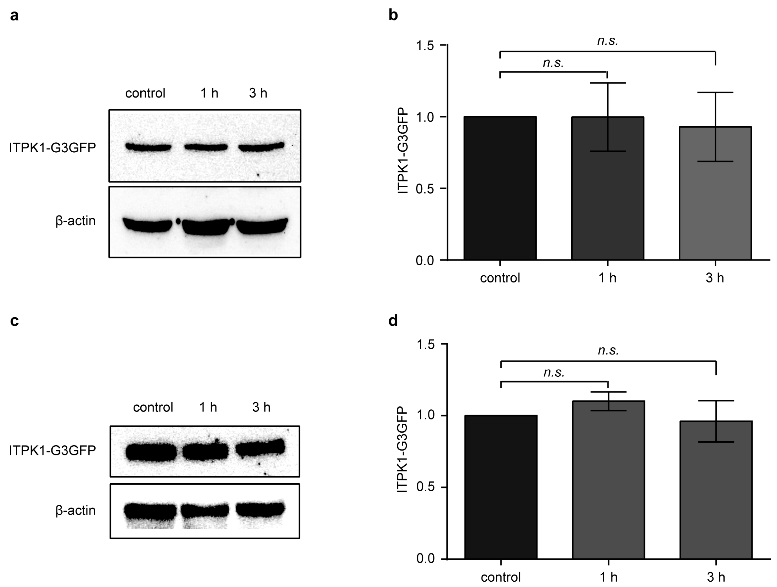 Biomolecules 13 01368 g004