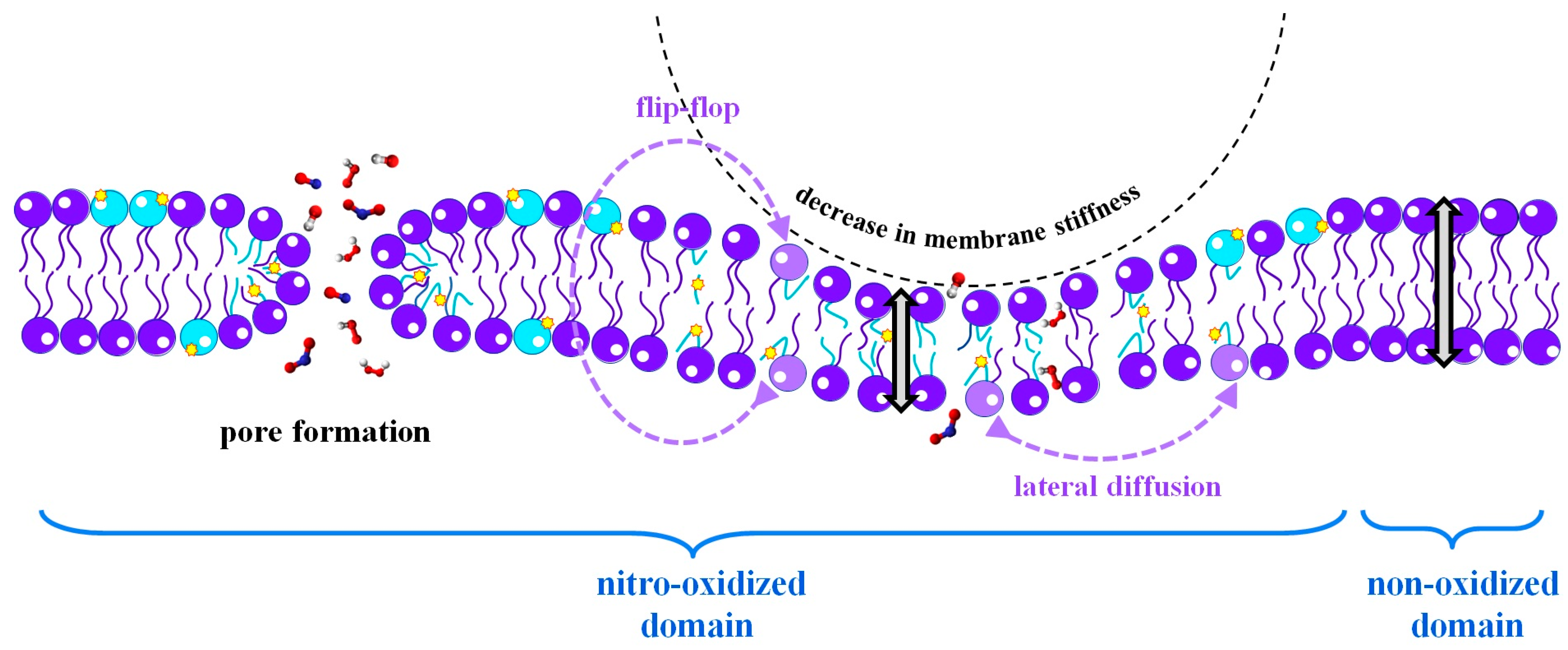 Biomolecules 13 01371 g002 Biomolecules 13 01371 g002