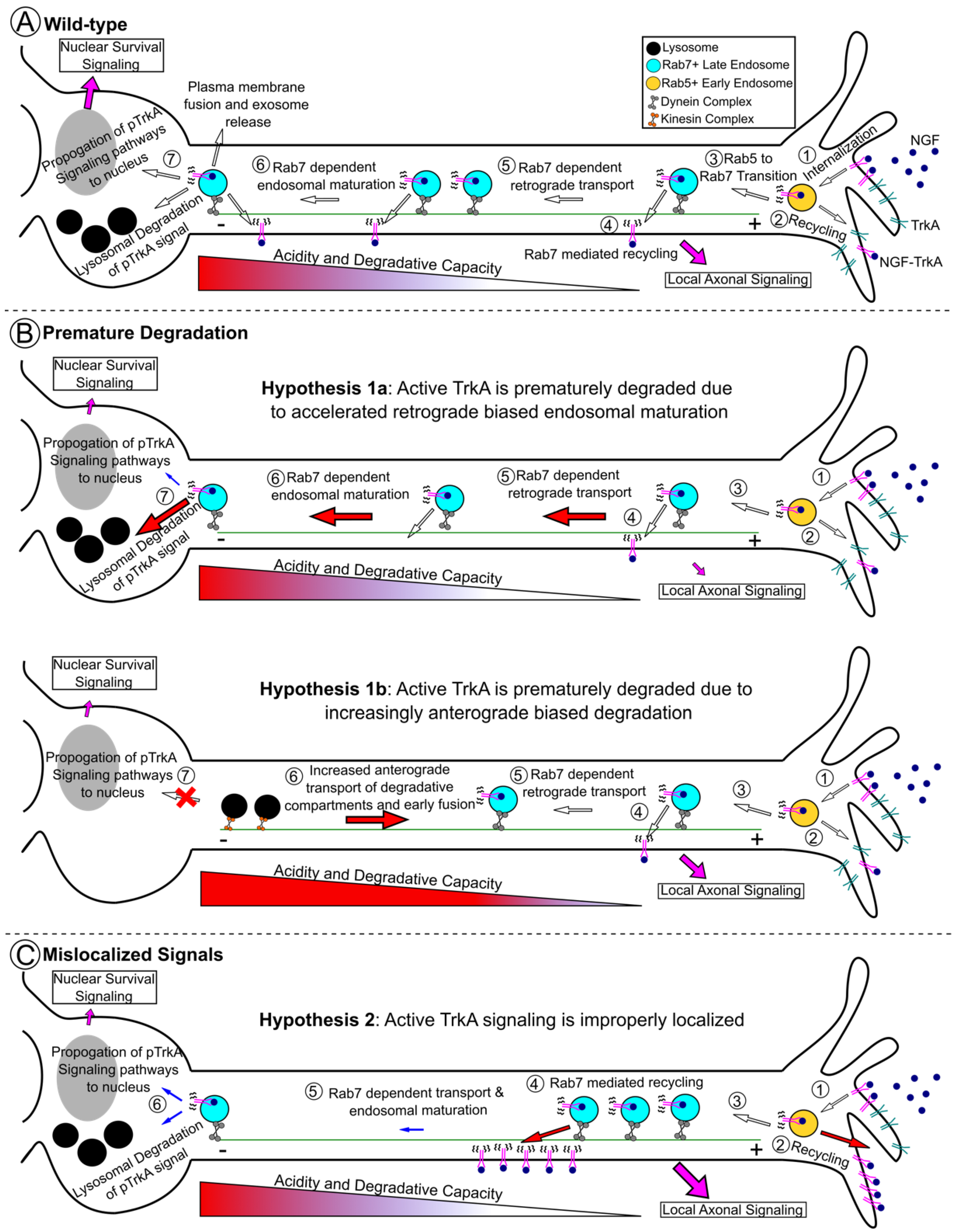 Biomolecules 13 01399 g003 Biomolecules 13 01399 g003