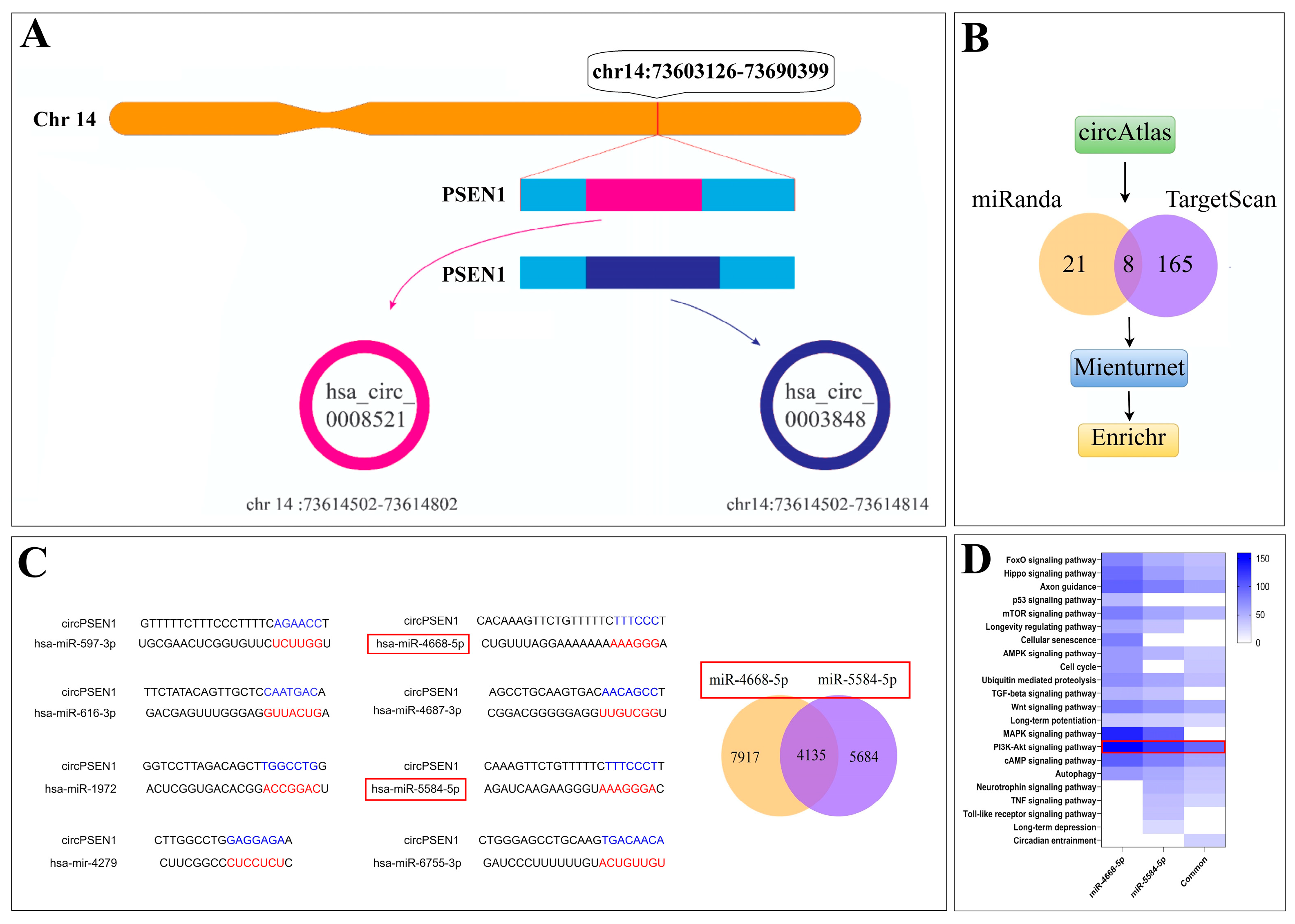 Biomolecules 13 01401 g001