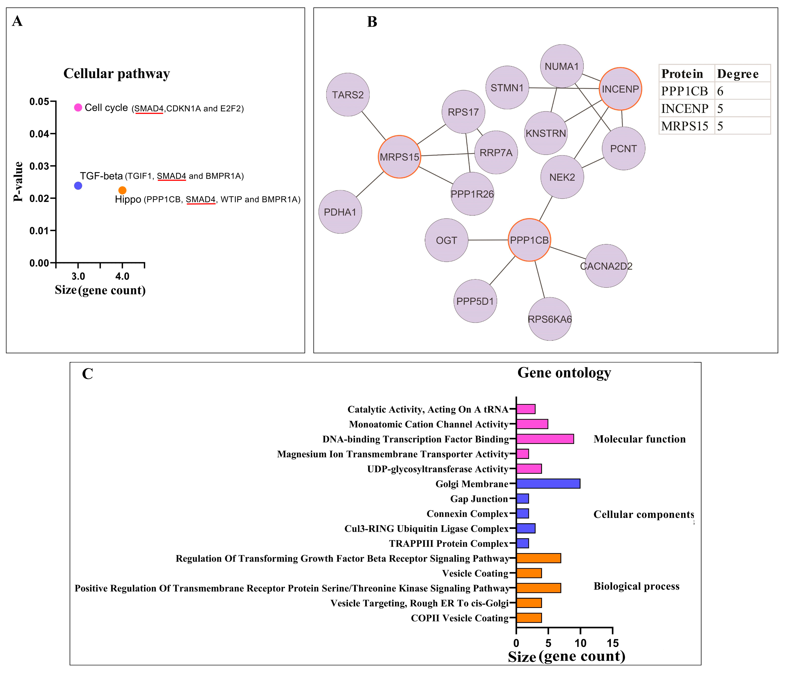 Biomolecules 13 01401 g003
