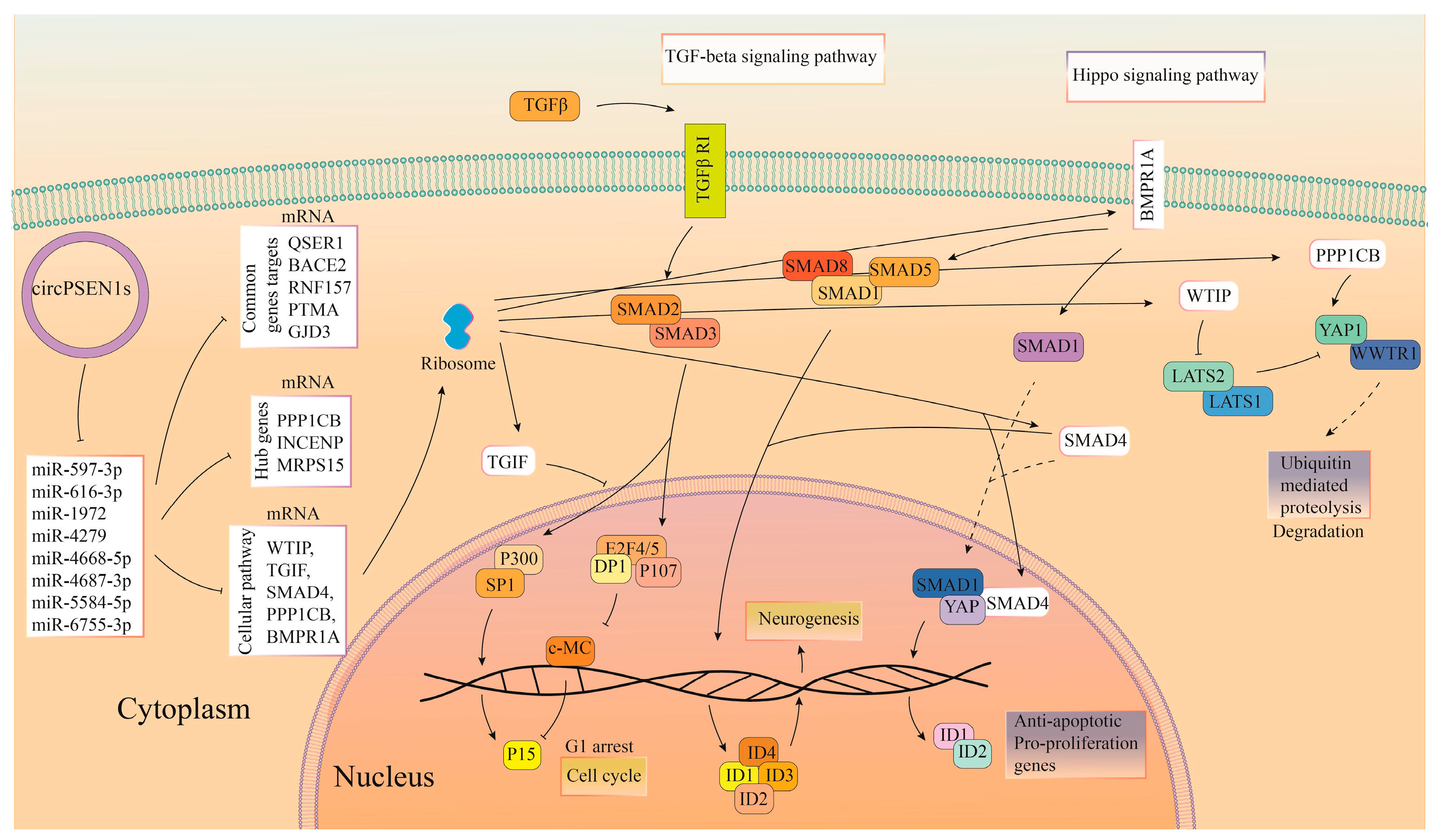 Biomolecules 13 01401 g004