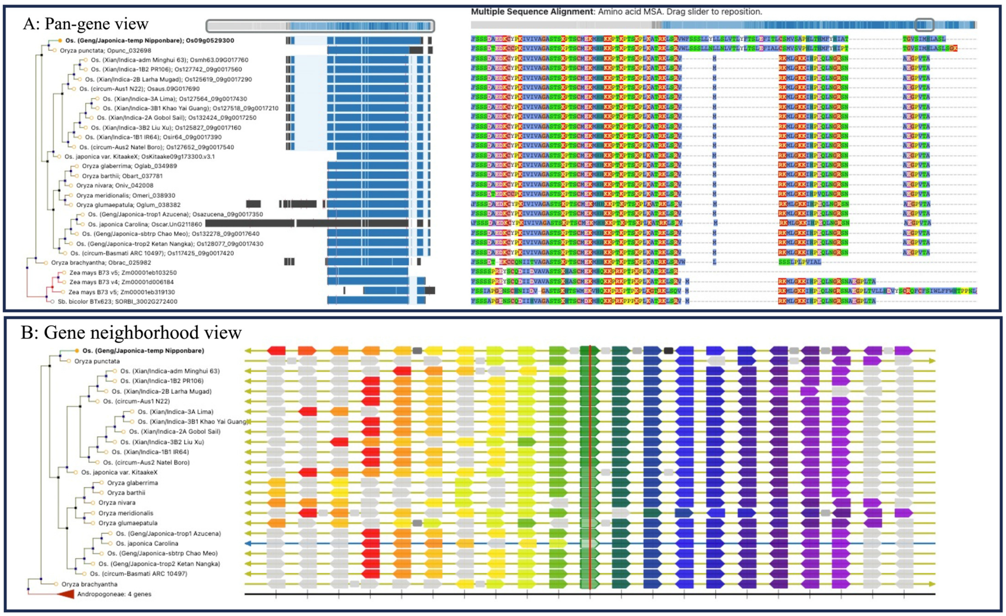 Biomolecules 13 01403 g004