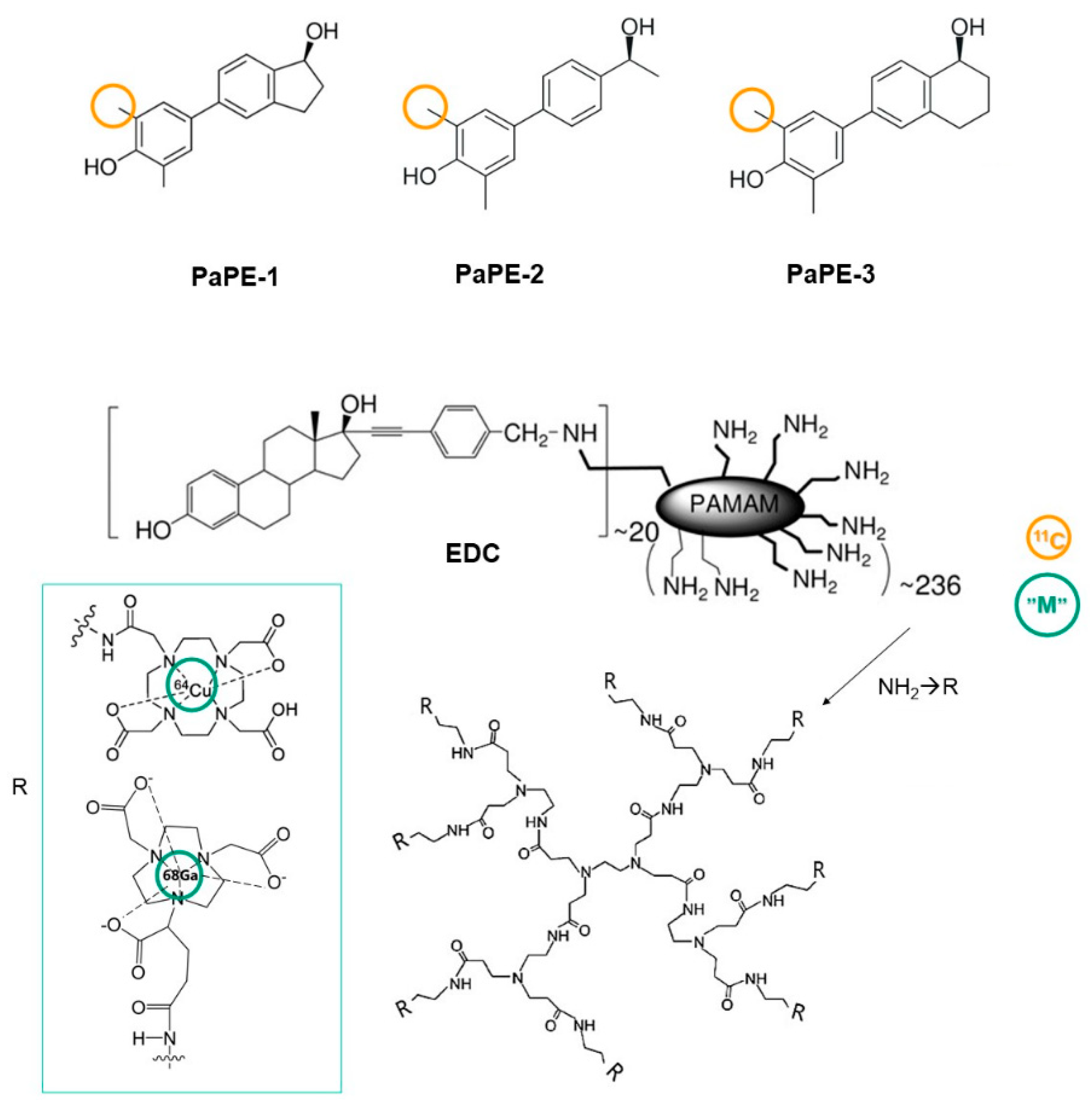 Biomolecules 13 01405 g005 Biomolecules 13 01405 g005