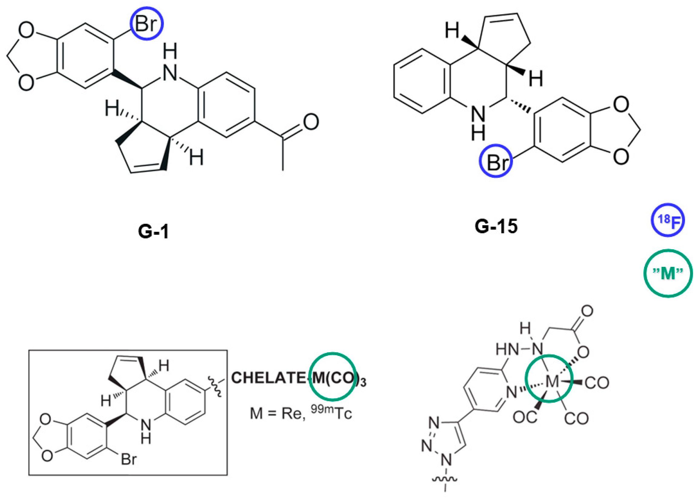 Biomolecules 13 01405 g006 Biomolecules 13 01405 g006