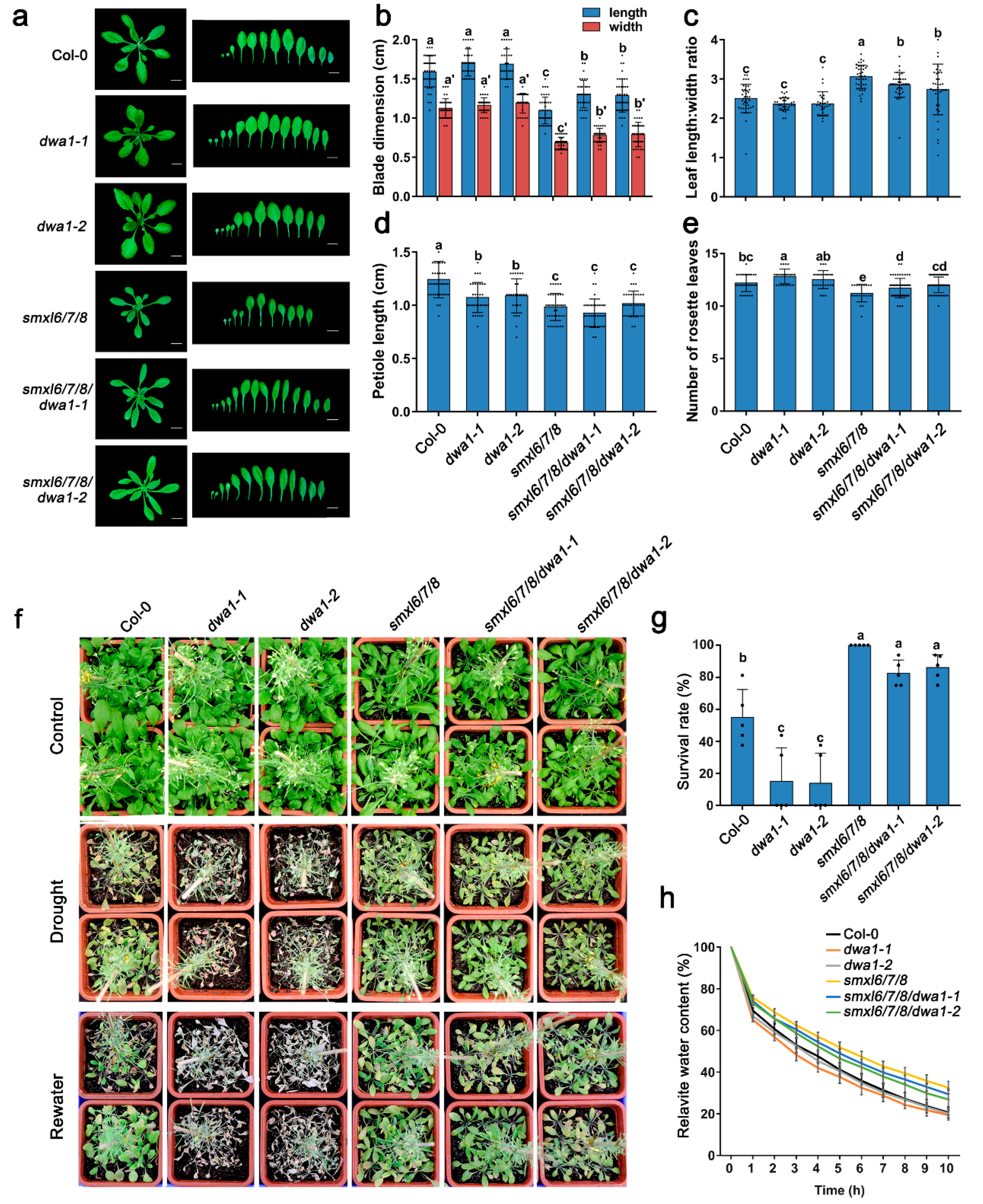 Biomolecules 13 01406 g004