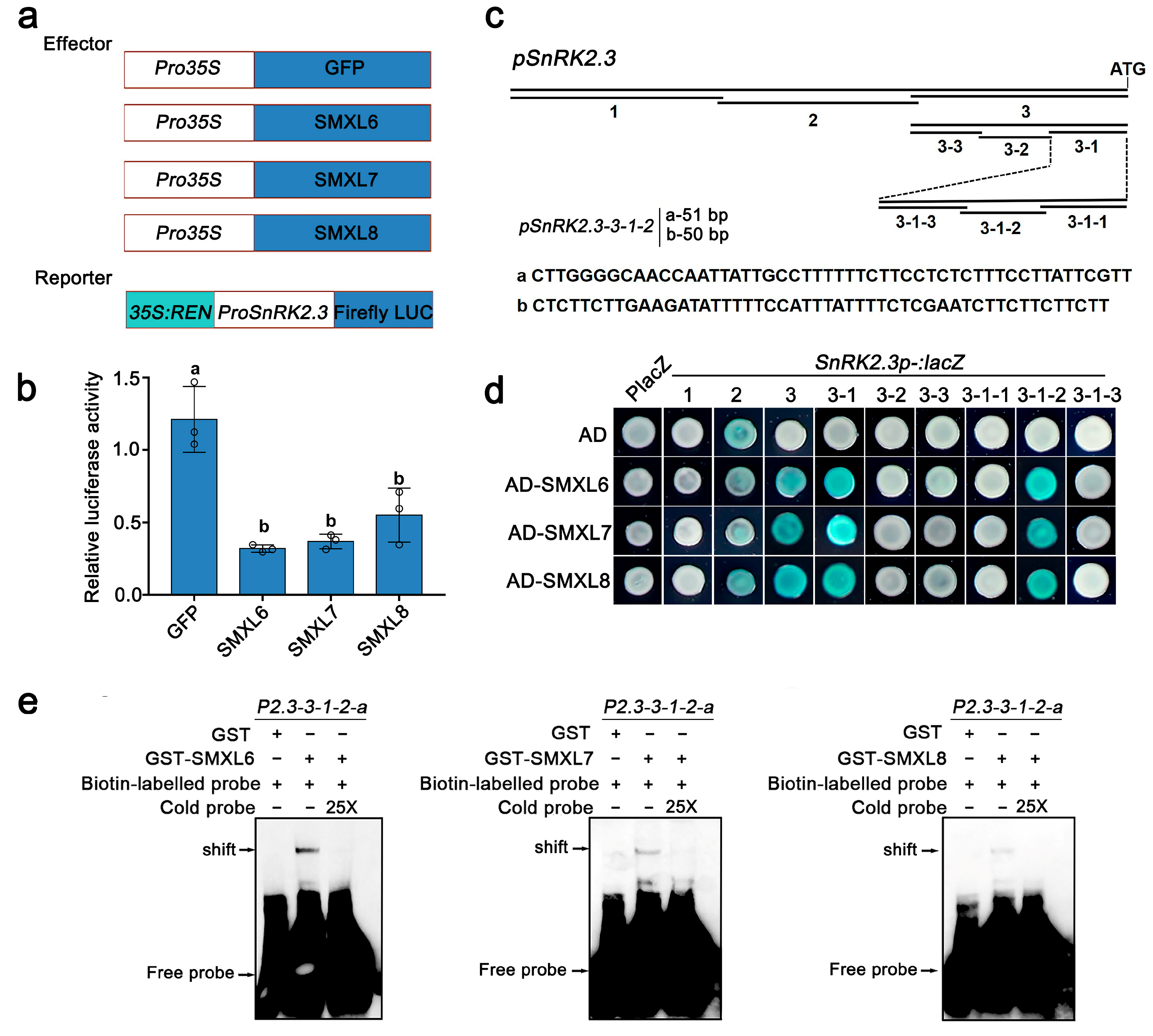 Biomolecules 13 01406 g005