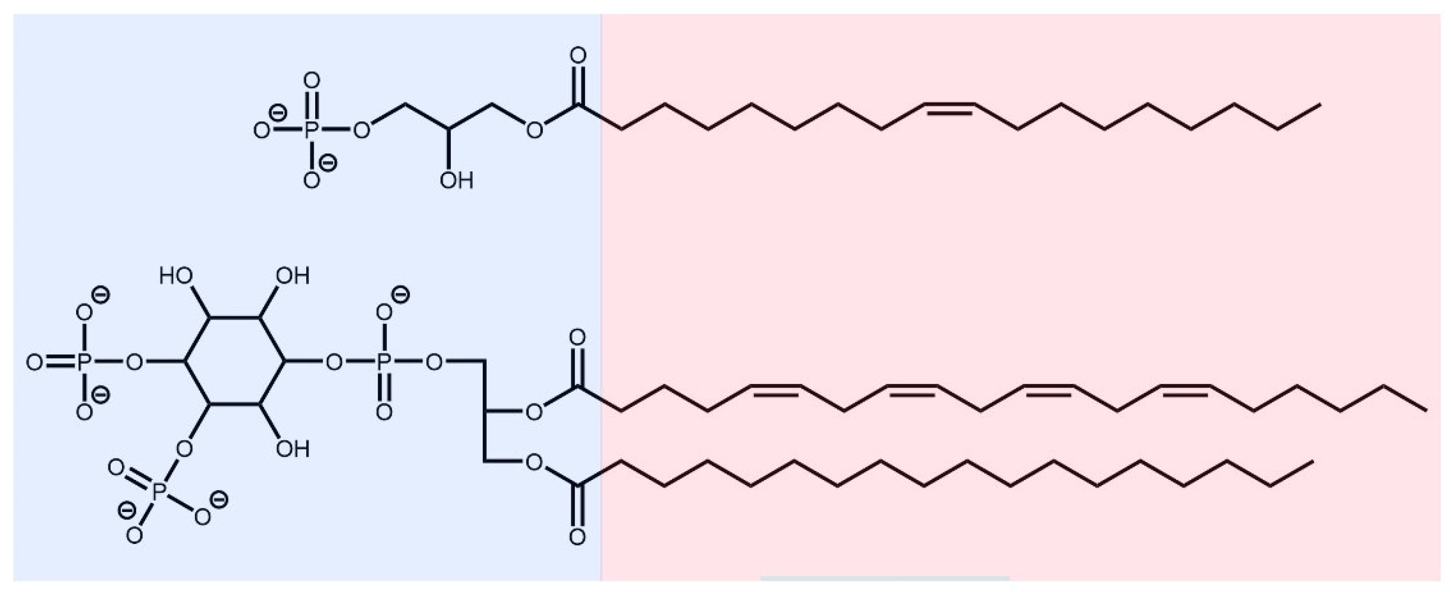 Biomolecules 13 01426 g001
