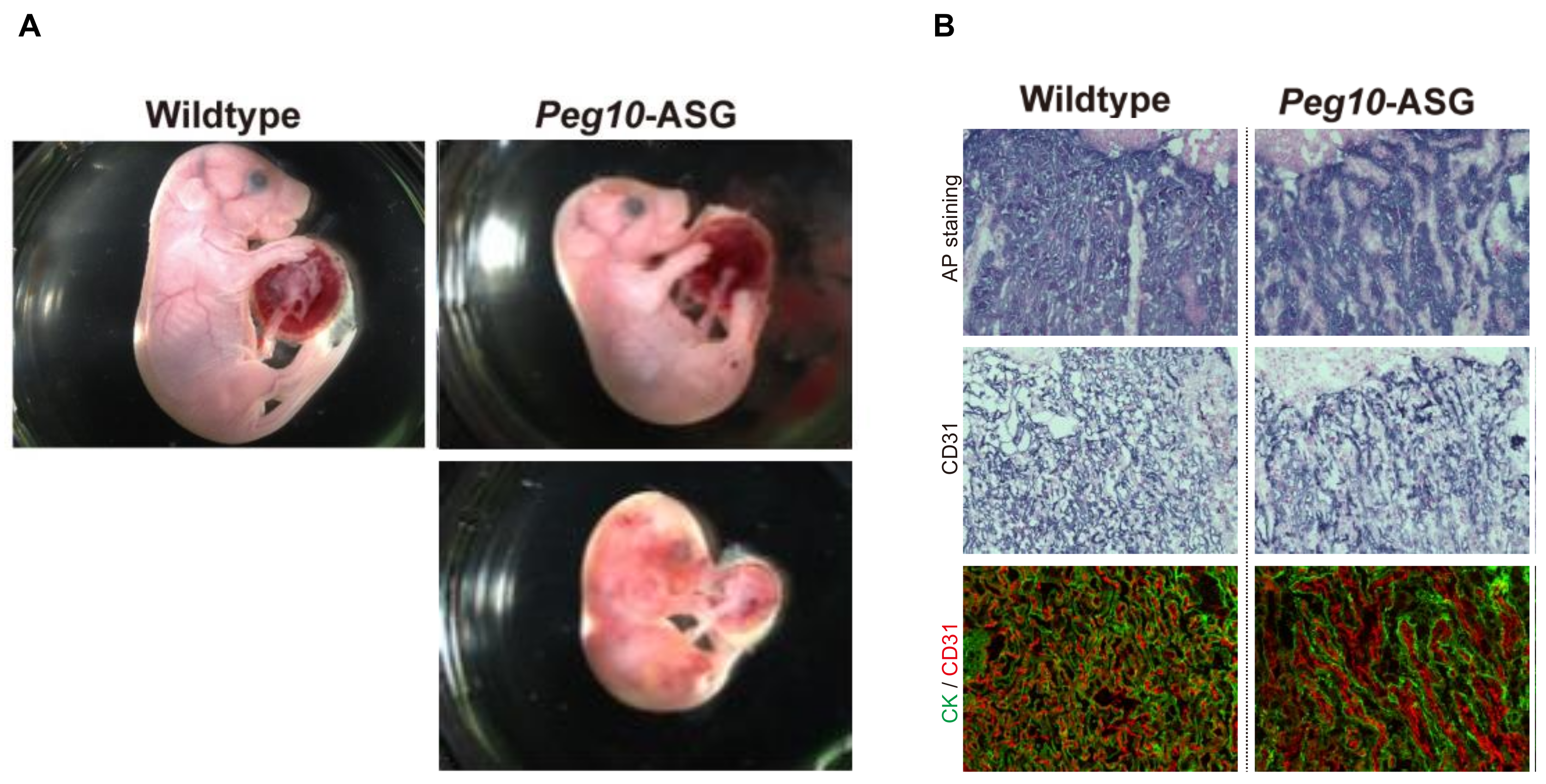 Biomolecules 13 01436 g002