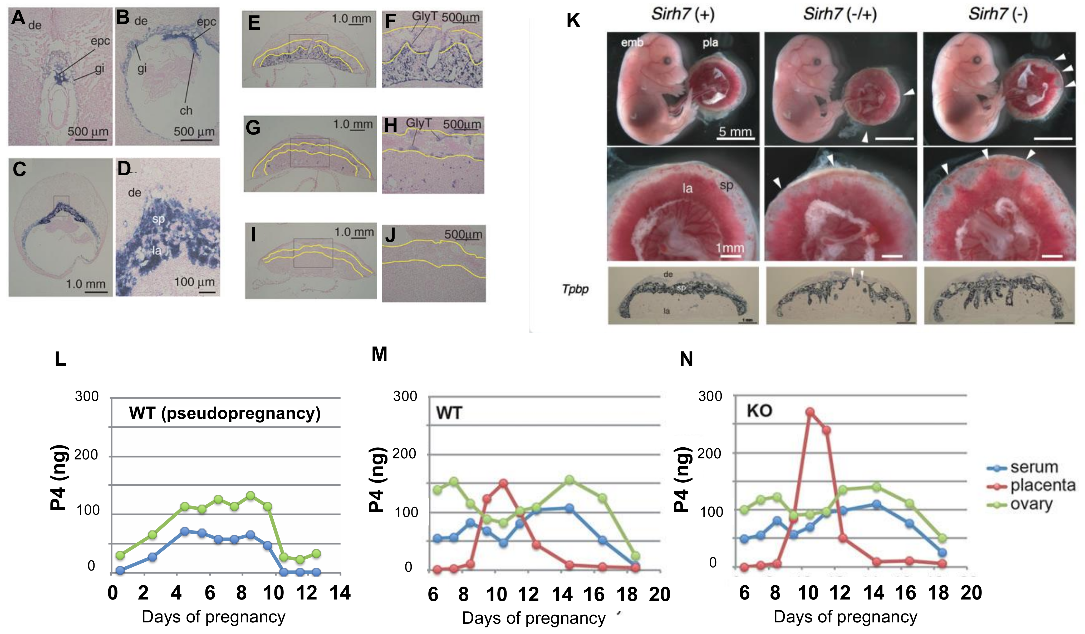 Biomolecules 13 01436 g005