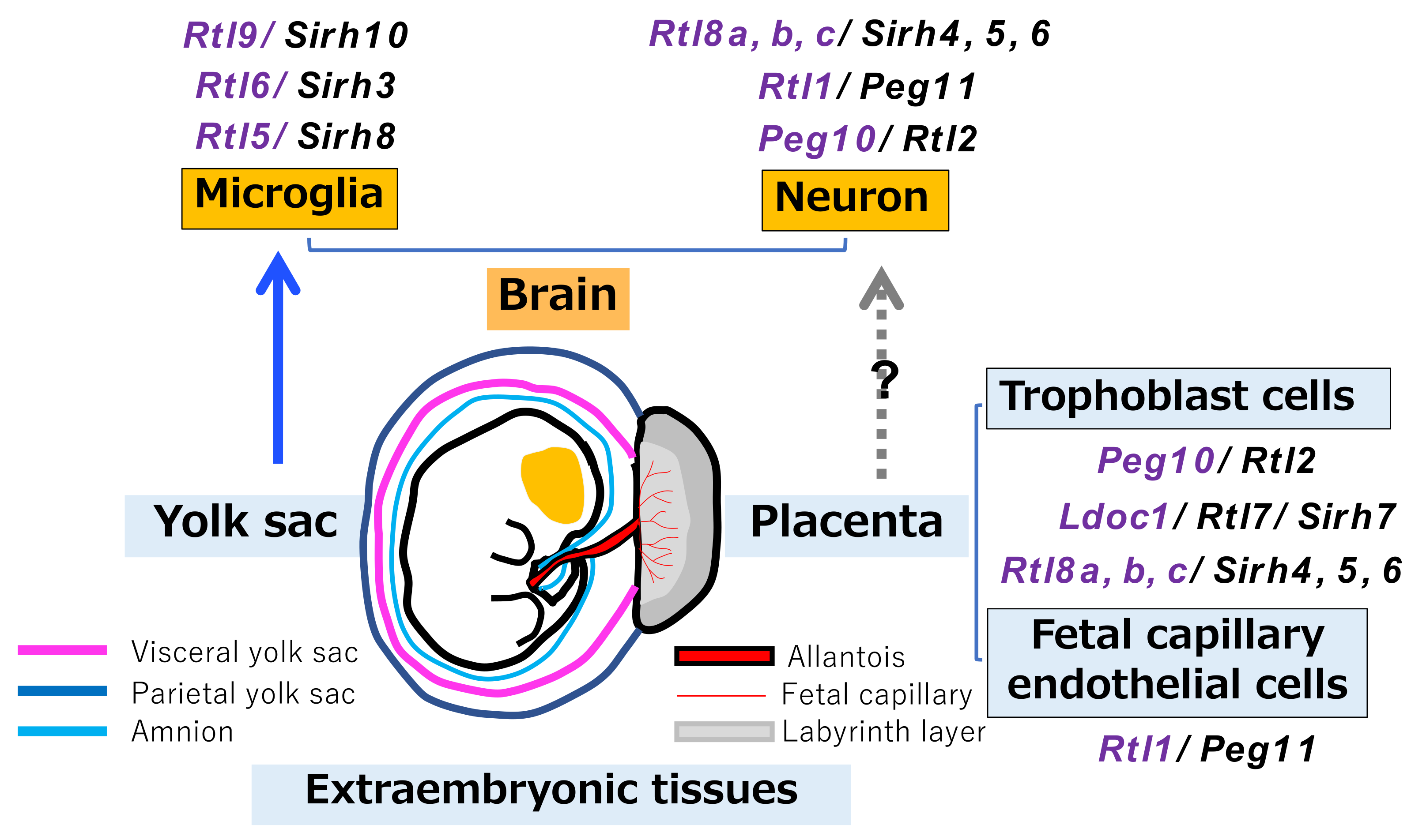 Biomolecules 13 01436 g008
