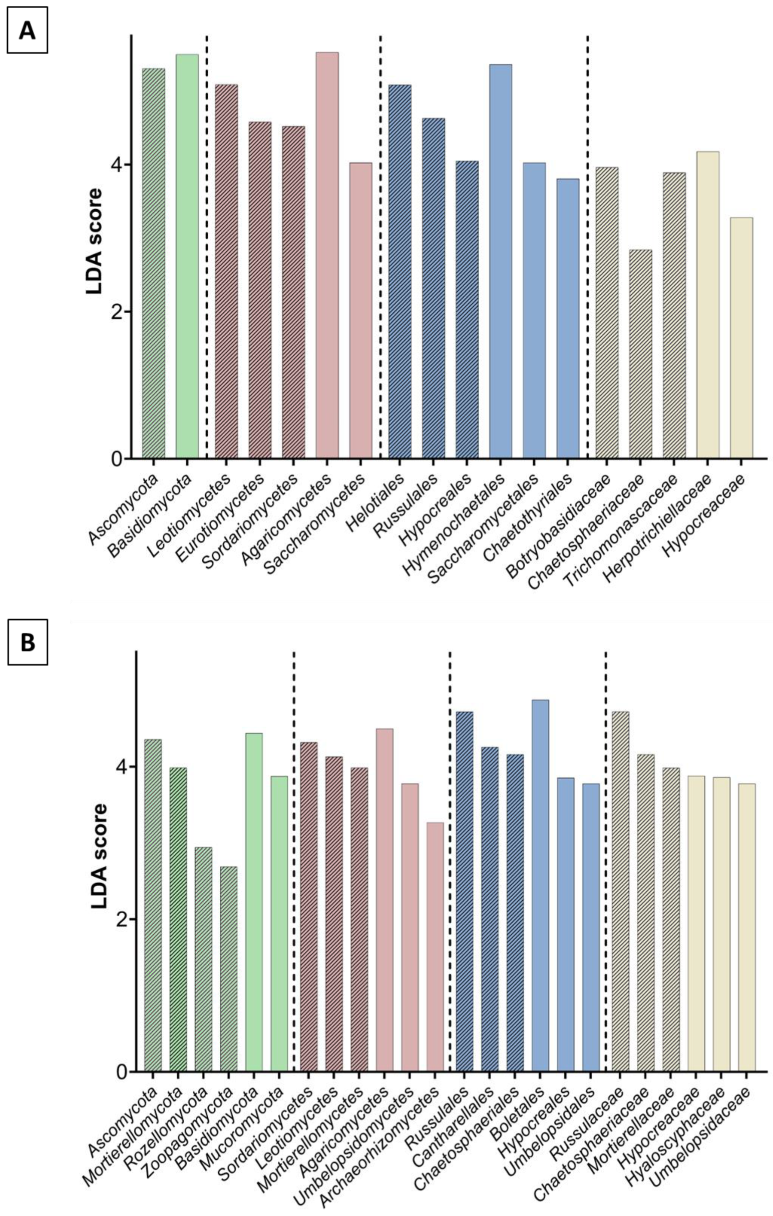 Biomolecules 13 01466 g007