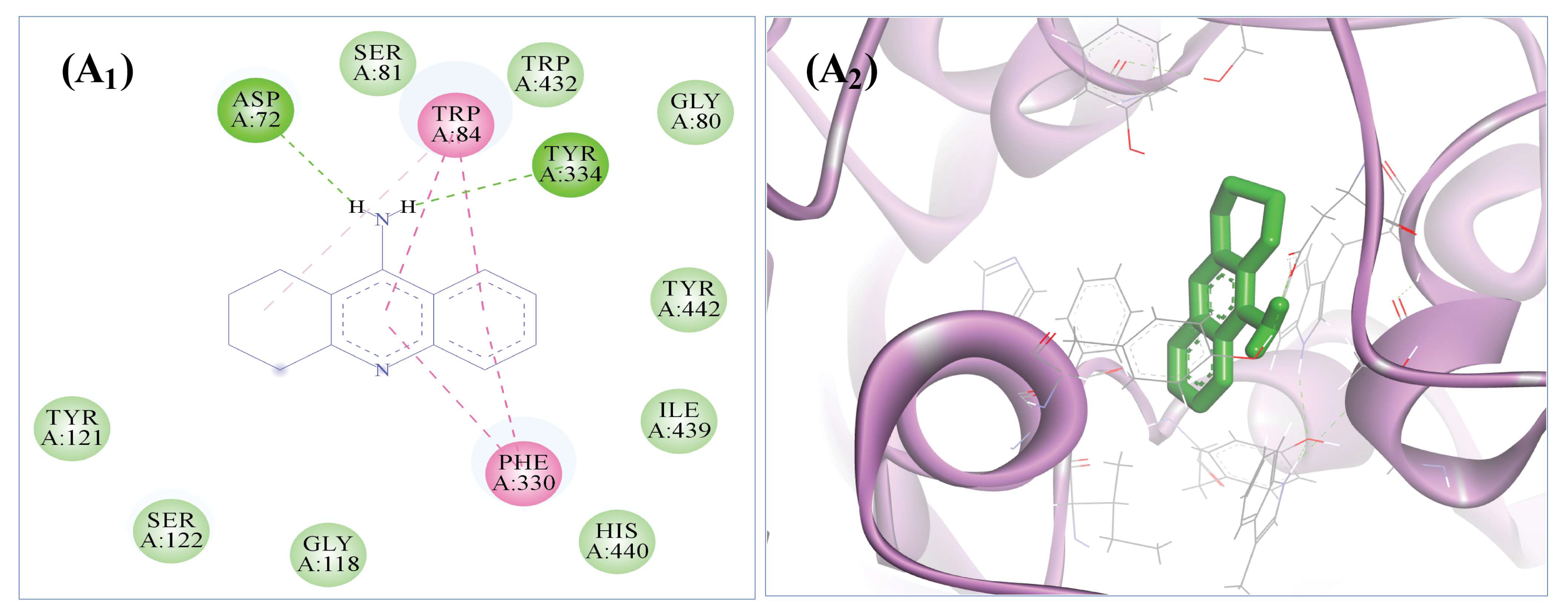 Biomolecules 13 01474 g008