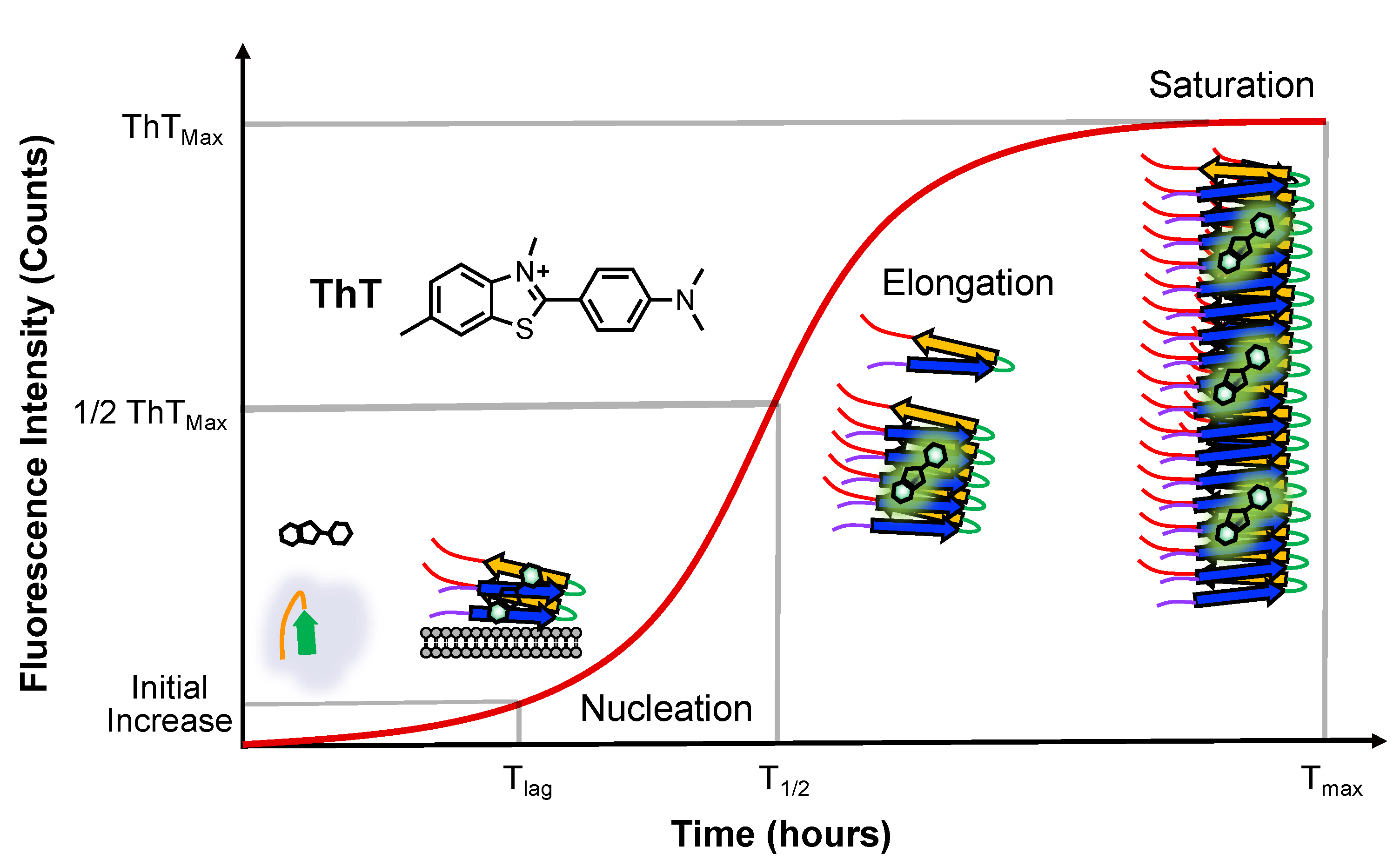 Biomolecules 13 01476 g002
