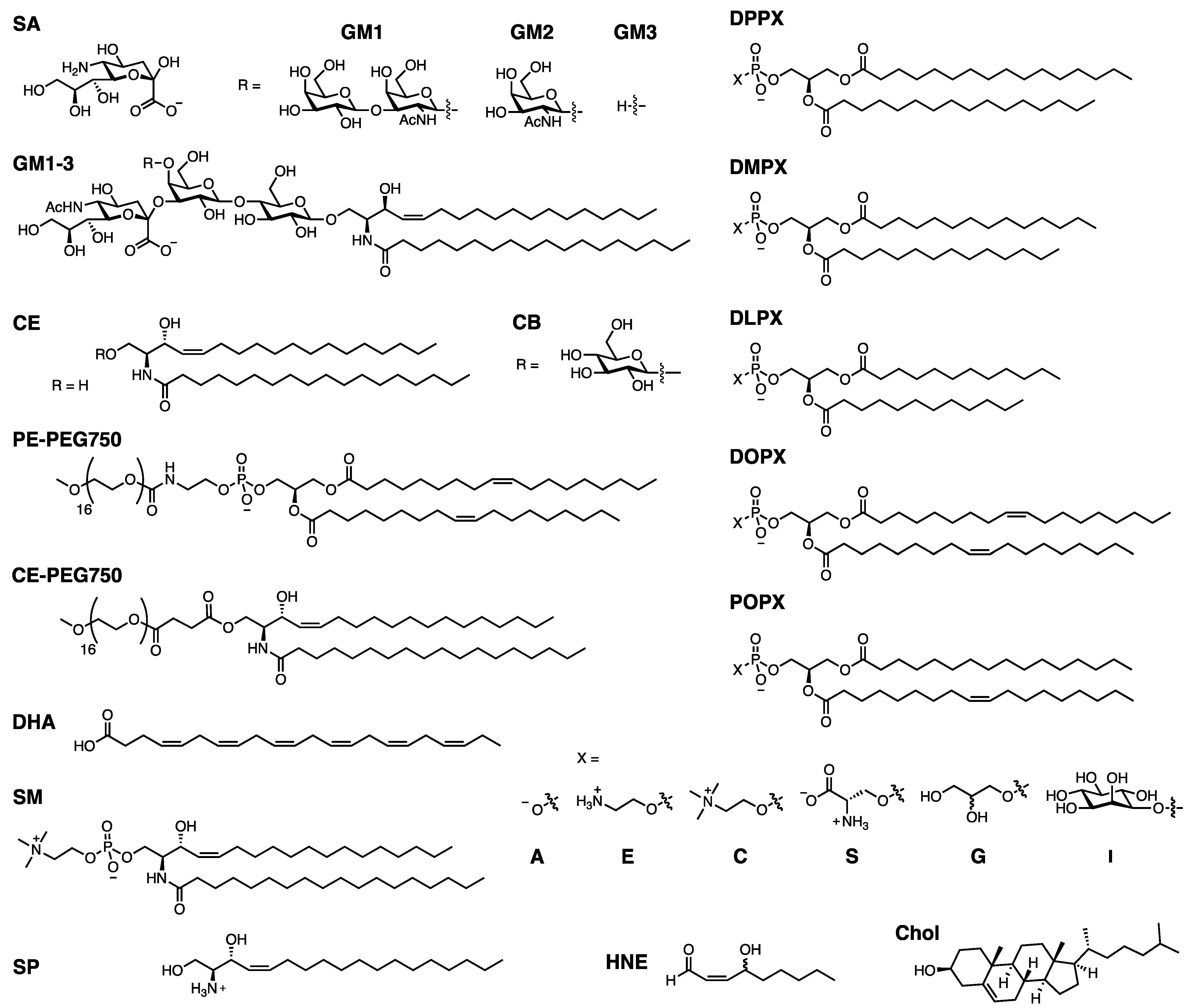 Biomolecules 13 01476 g004