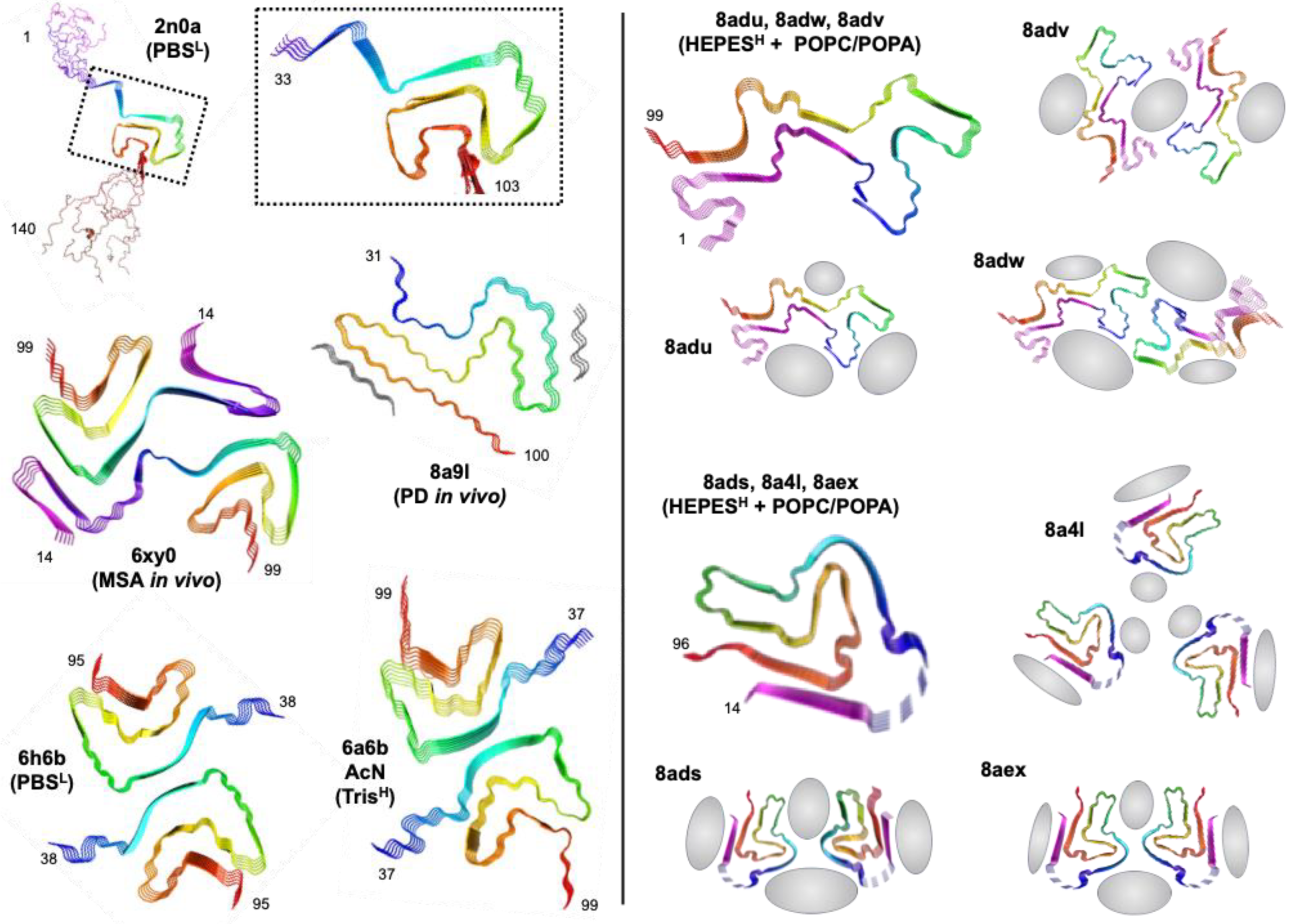 Biomolecules 13 01476 g006