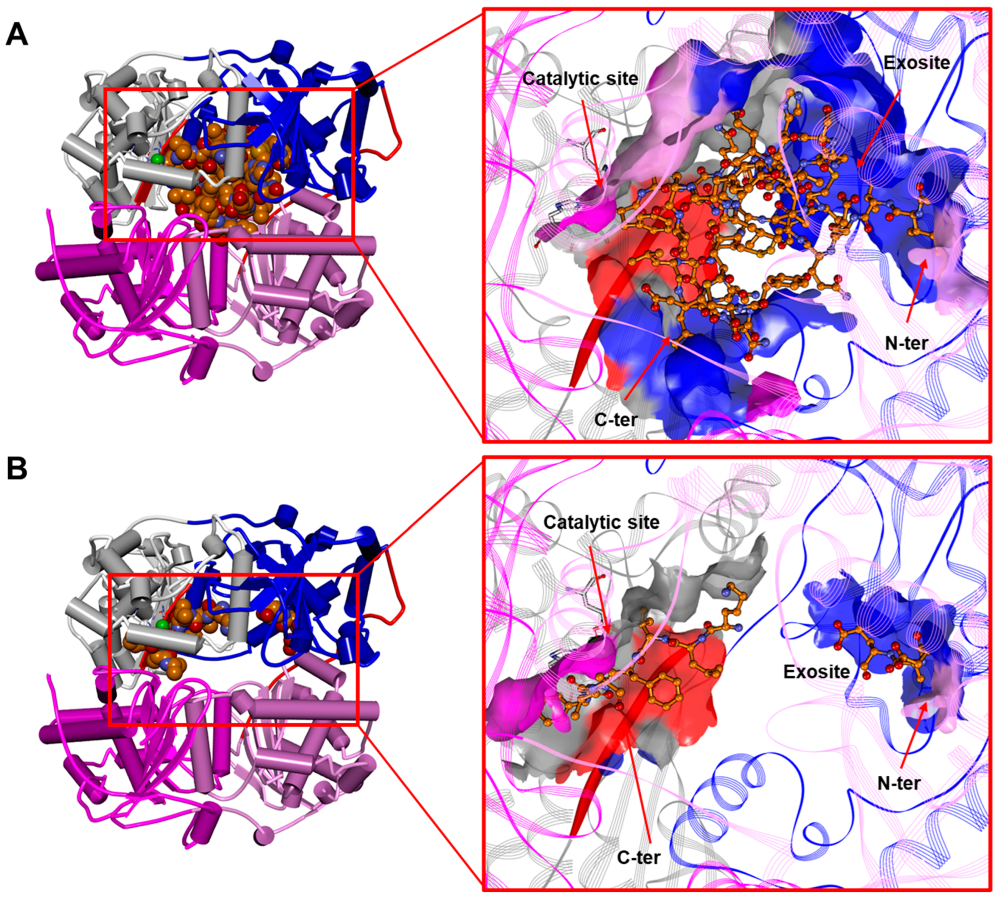 Biomolecules 13 01492 g005