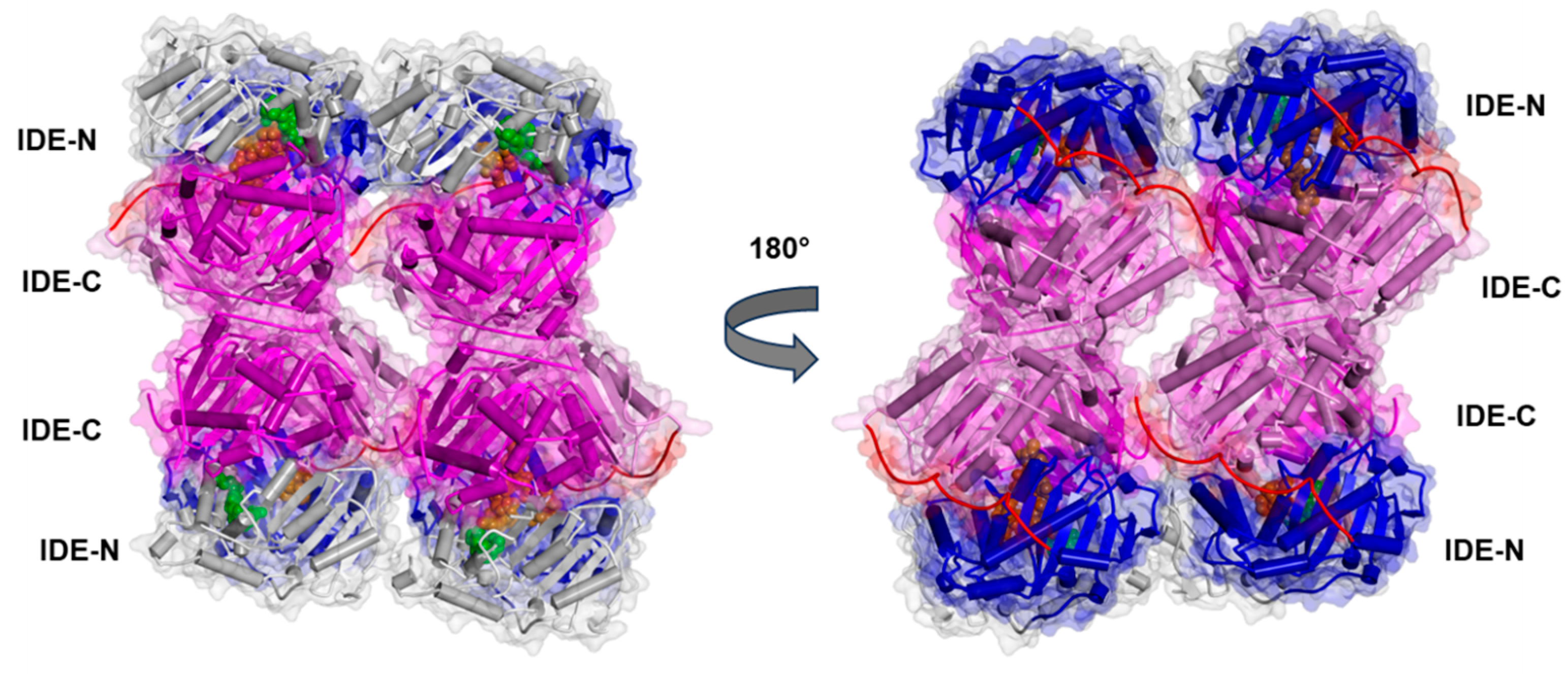 Biomolecules 13 01492 g006