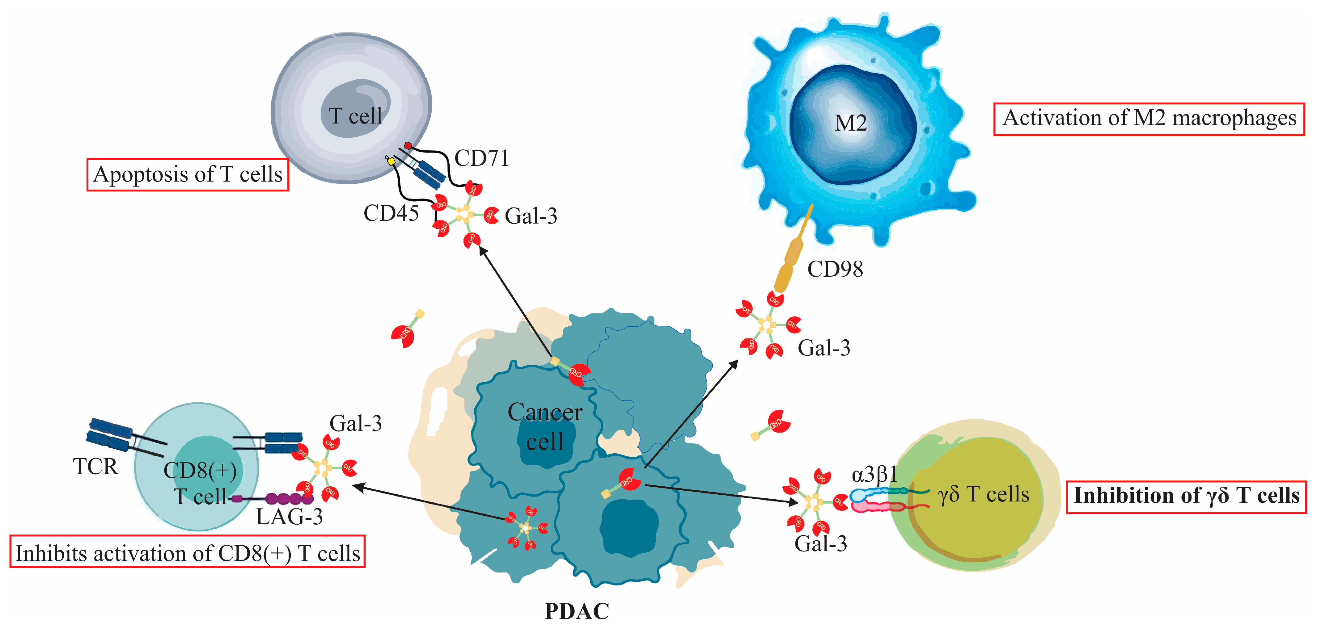 Biomolecules | Free Full-Text | Galectin-3’s Complex 