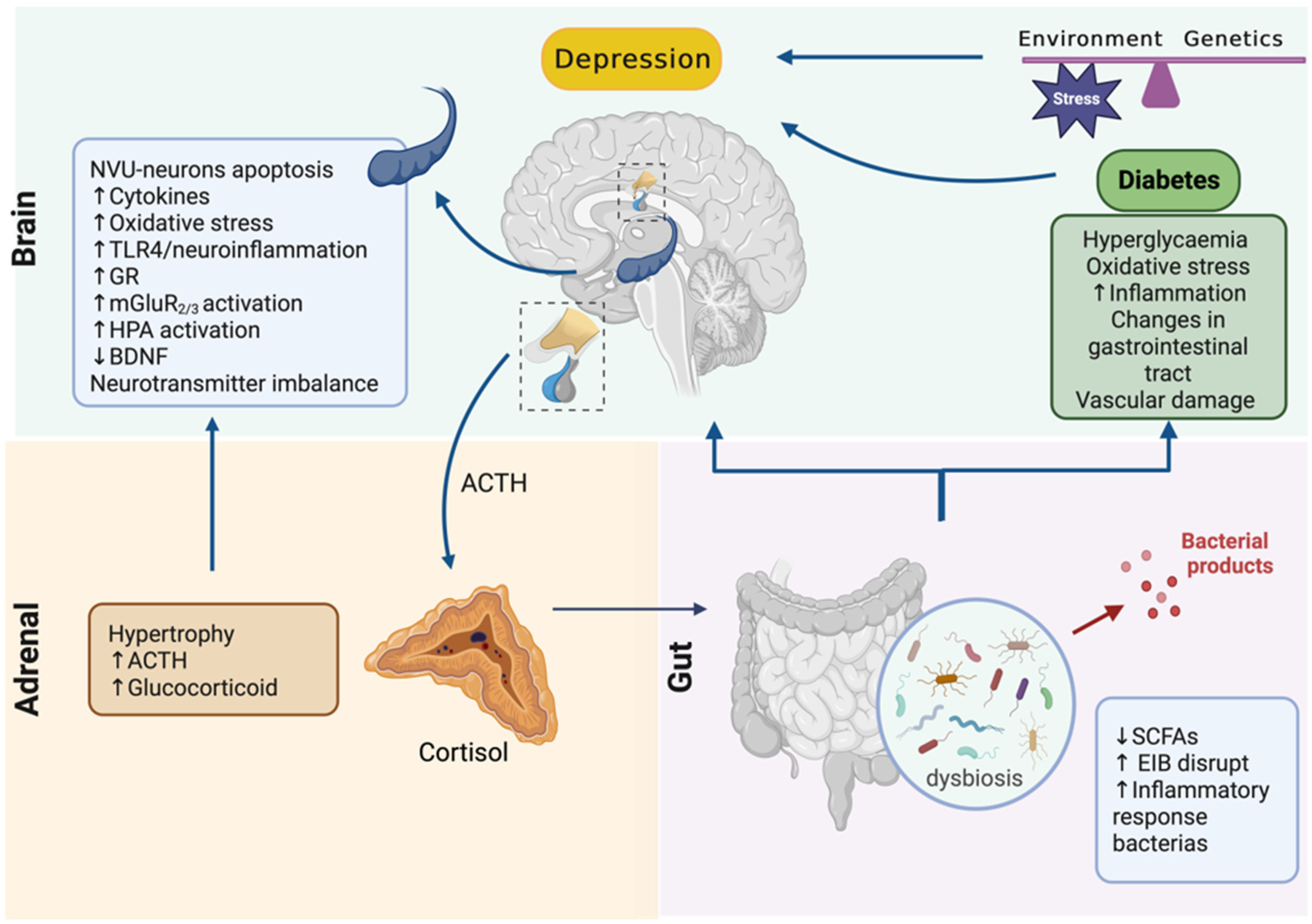Biomolecules 13 01504 g002 Biomolecules 13 01504 g002