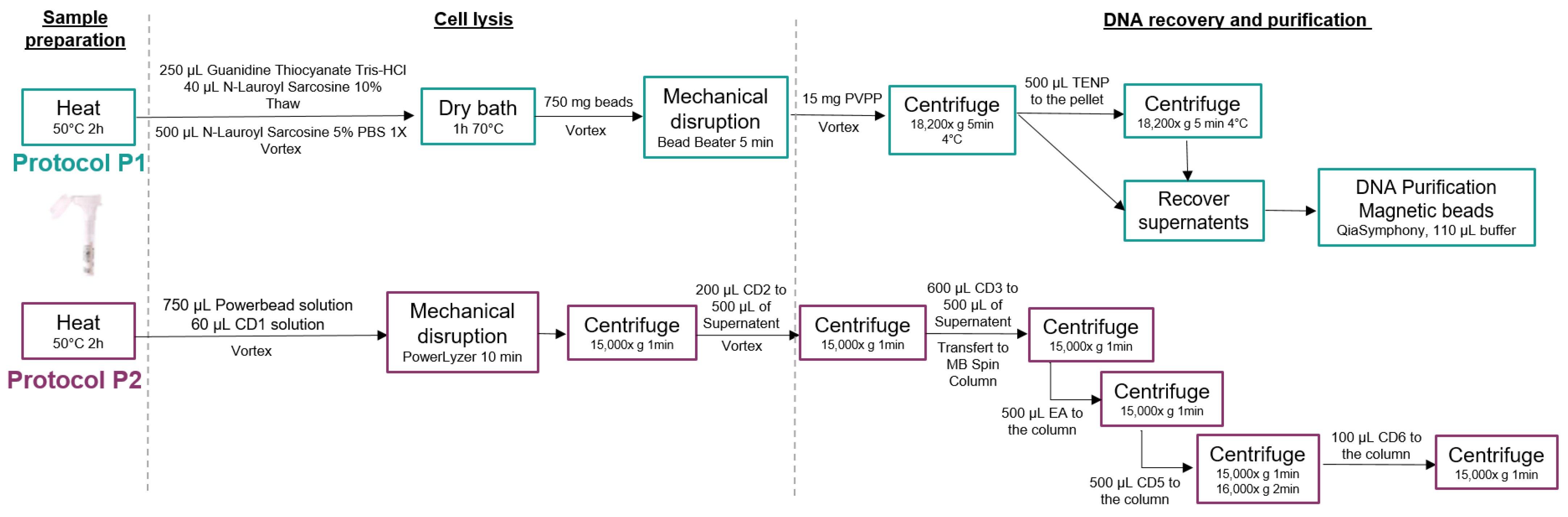 Biomolecules 13 01505 g002