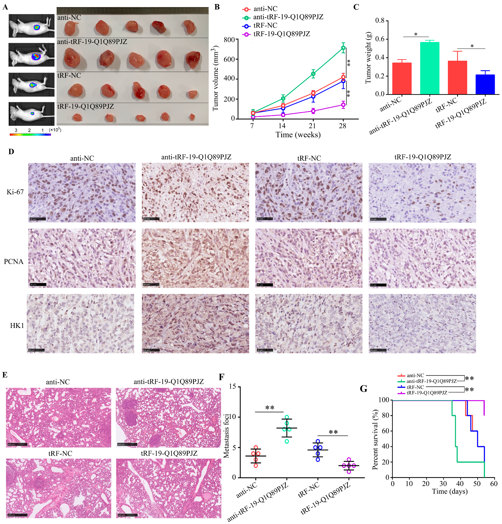 Biomolecules 13 01513 g007