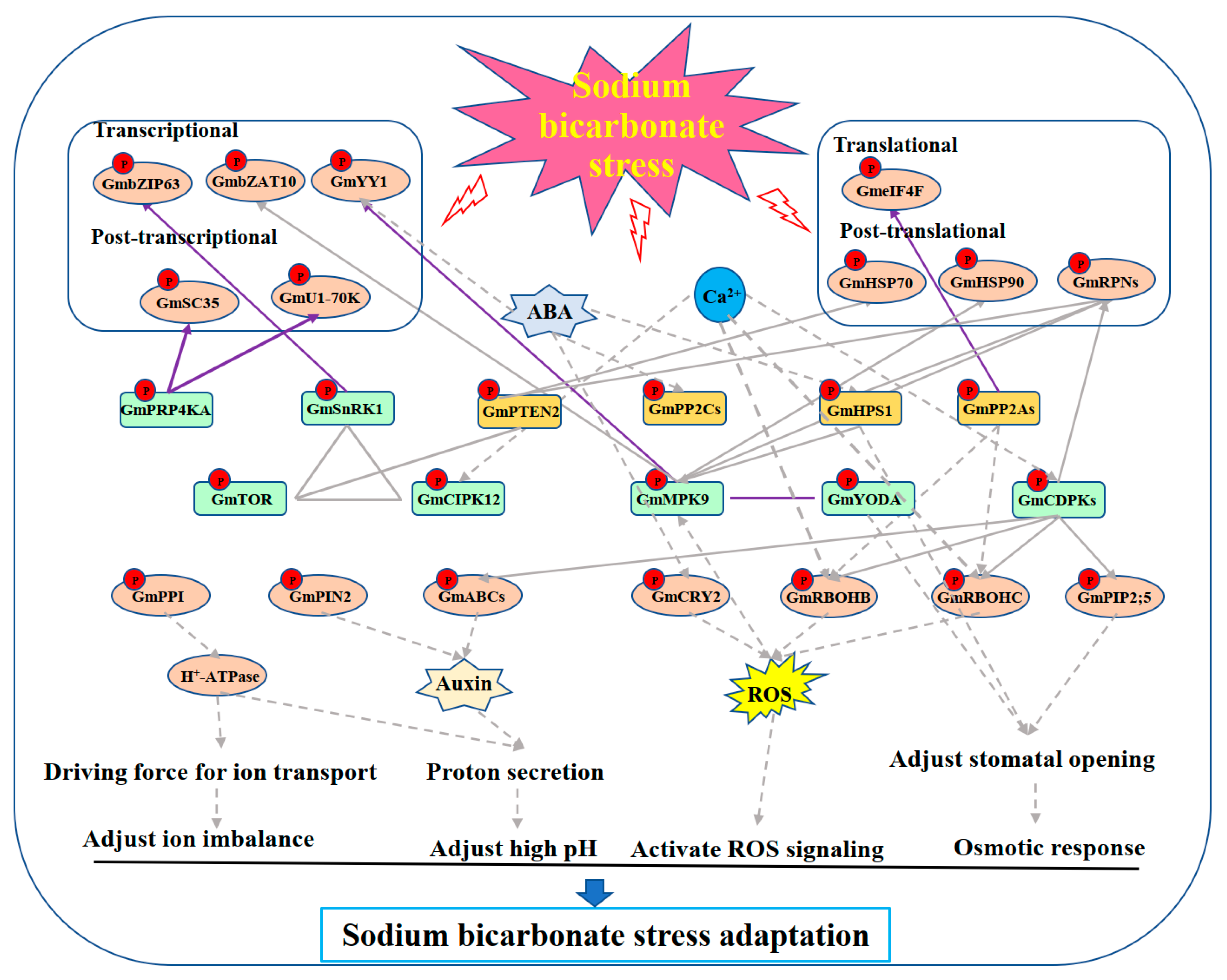 Biomolecules 13 01520 g007