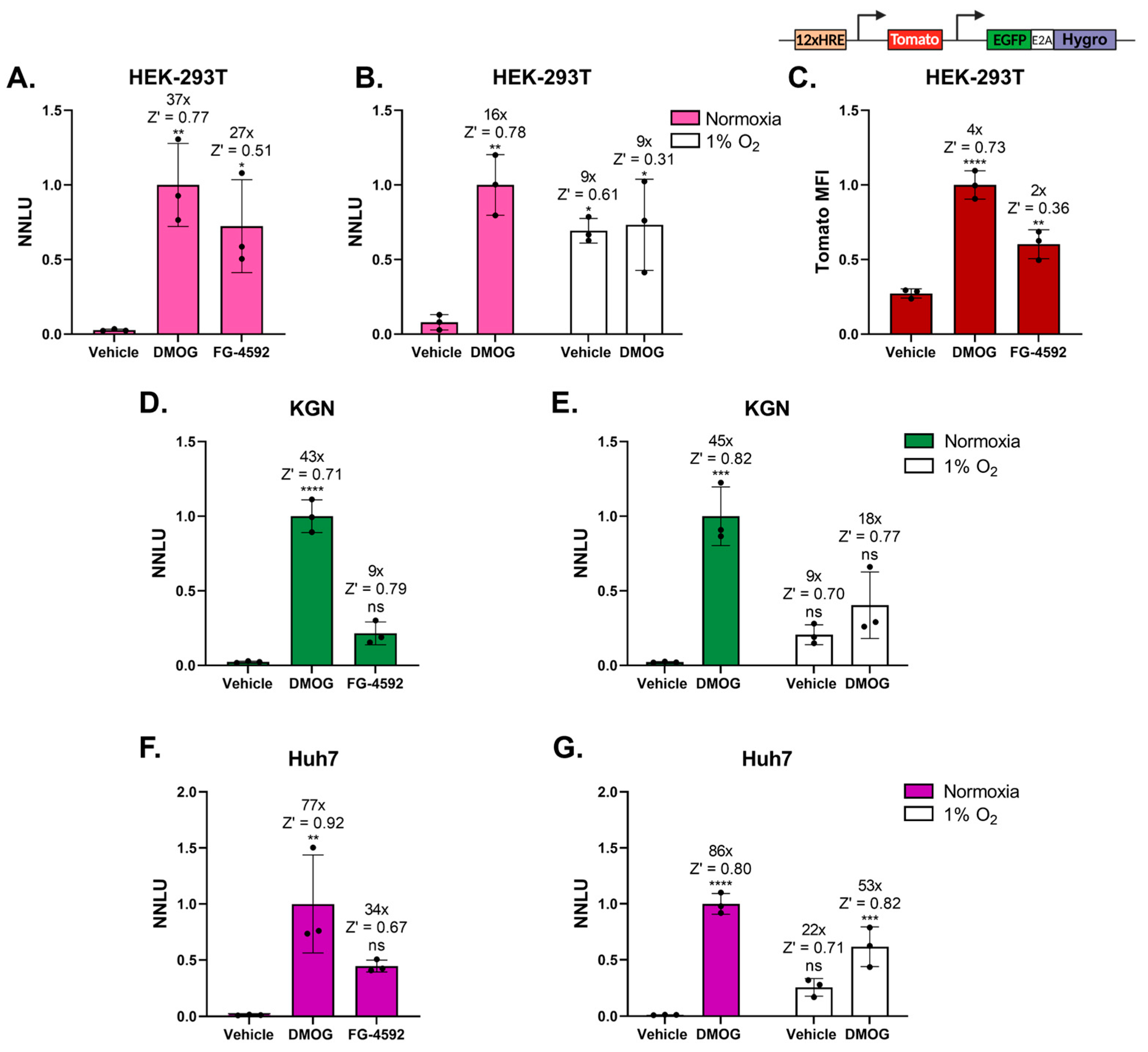 Biomolecules 13 01545 g002 Biomolecules 13 01545 g002
