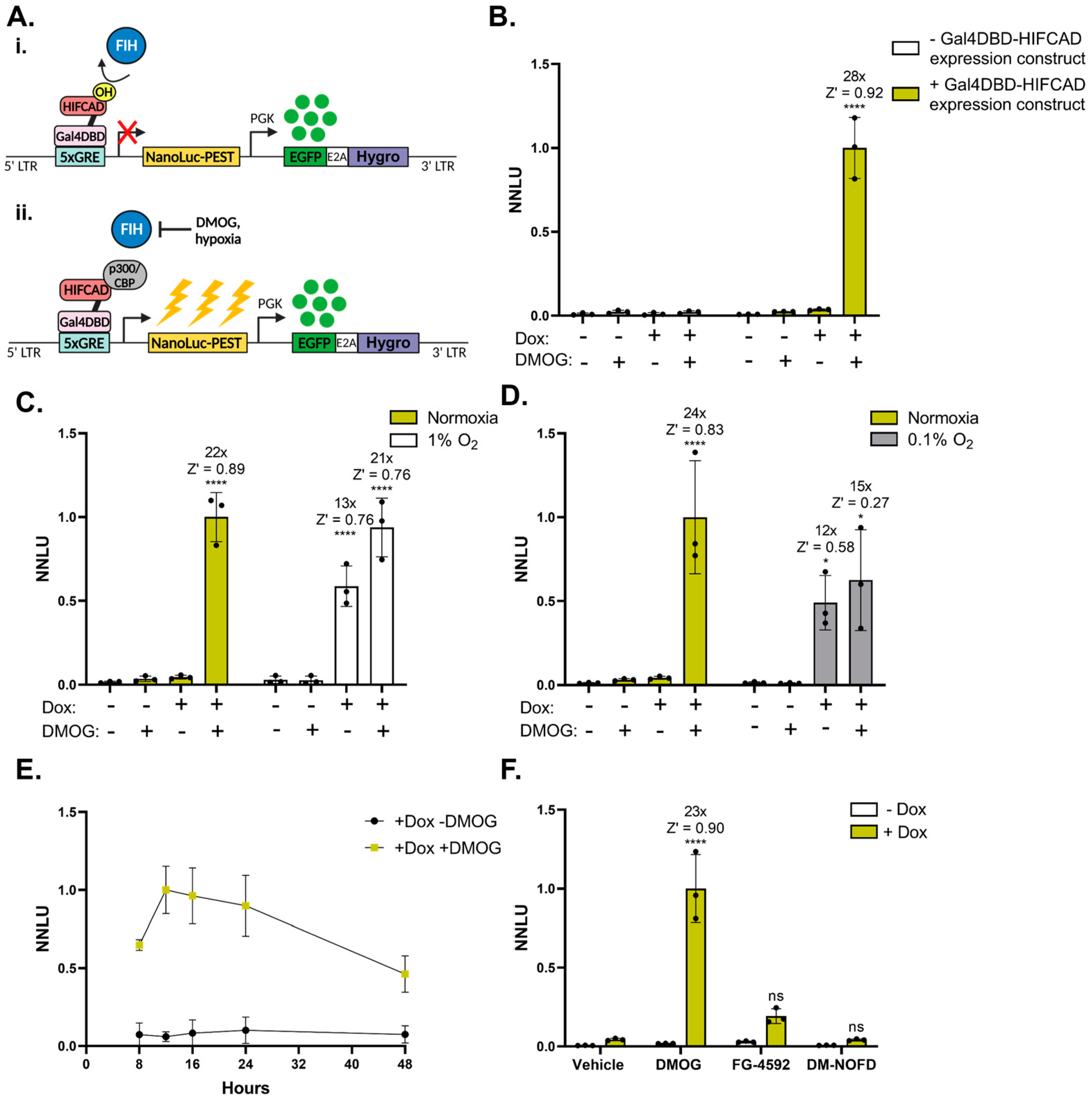 Biomolecules 13 01545 g004 Biomolecules 13 01545 g004