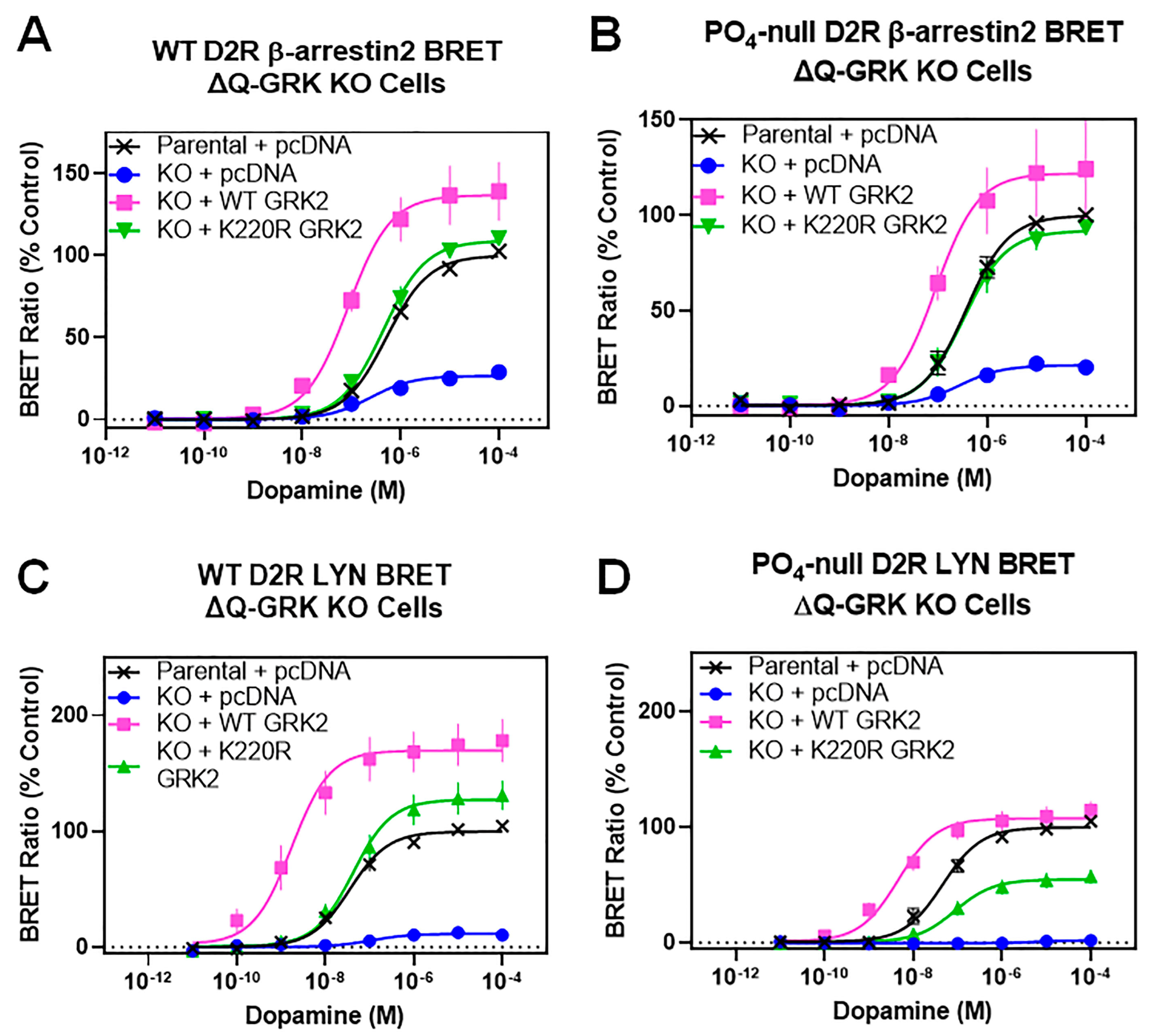 Biomolecules 13 01552 g007
