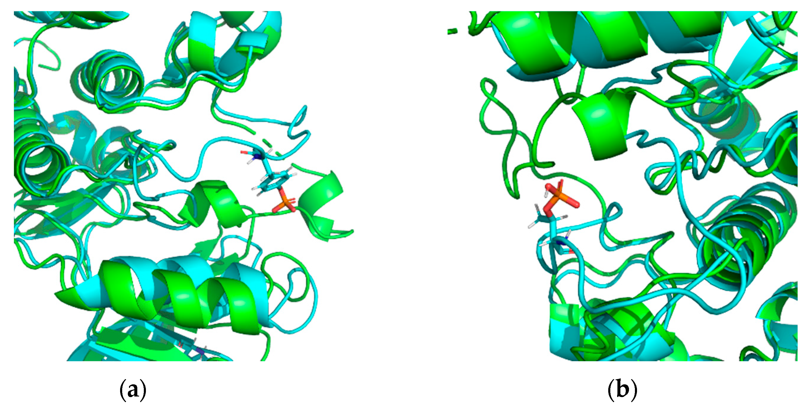Biomolecules 13 01564 g006