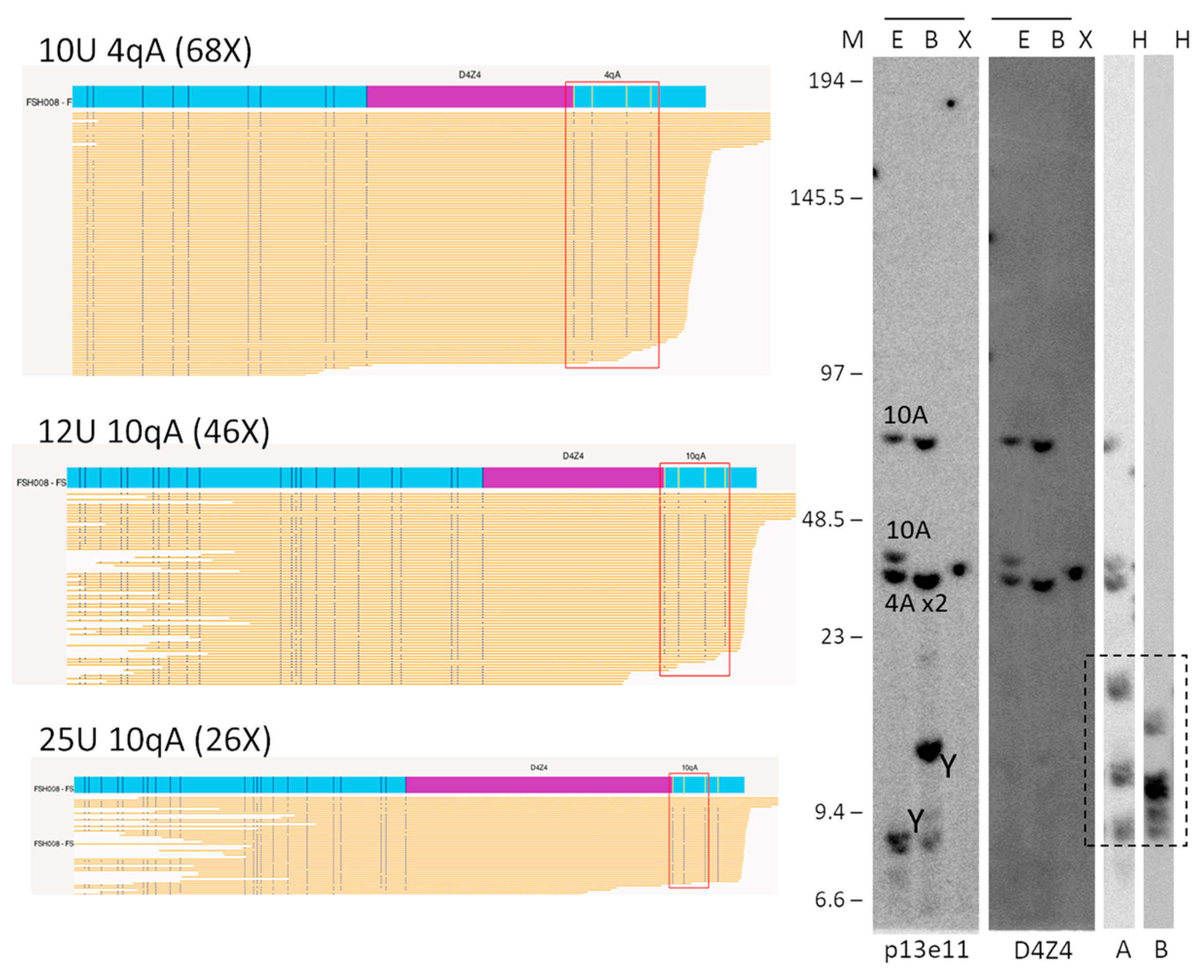 Biomolecules 13 01567 g003