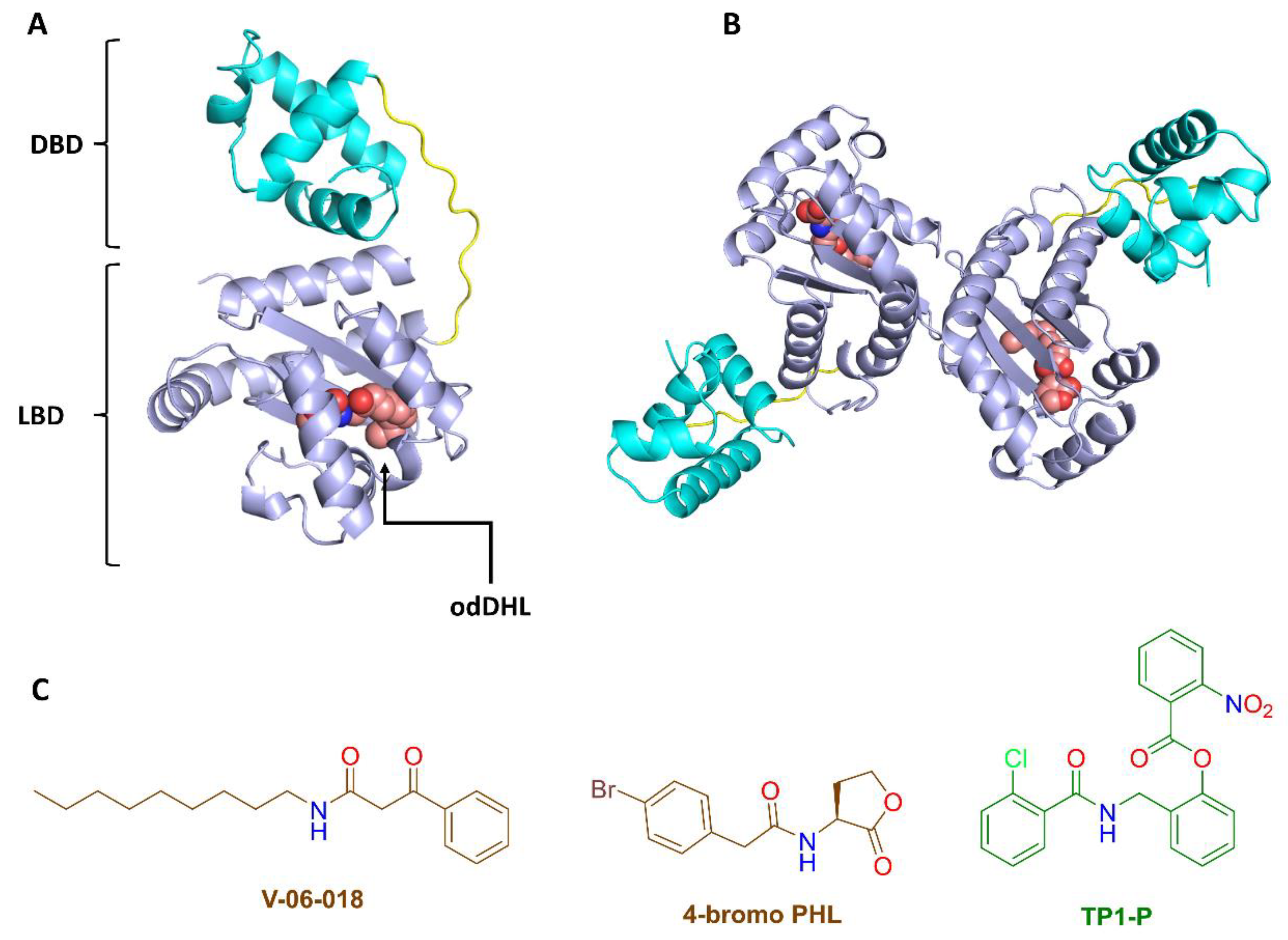 Biomolecules 13 01573 g003