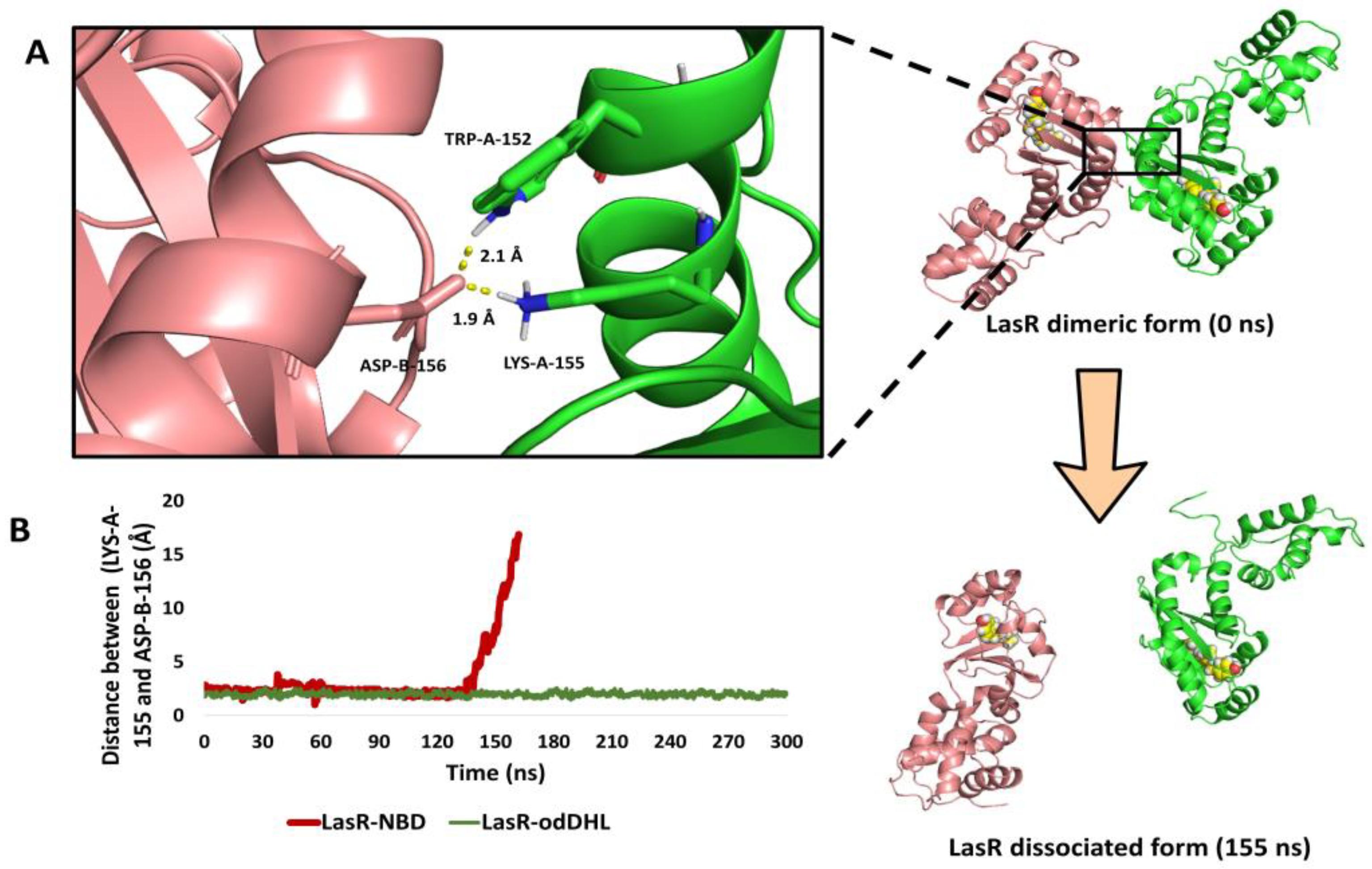Biomolecules 13 01573 g008
