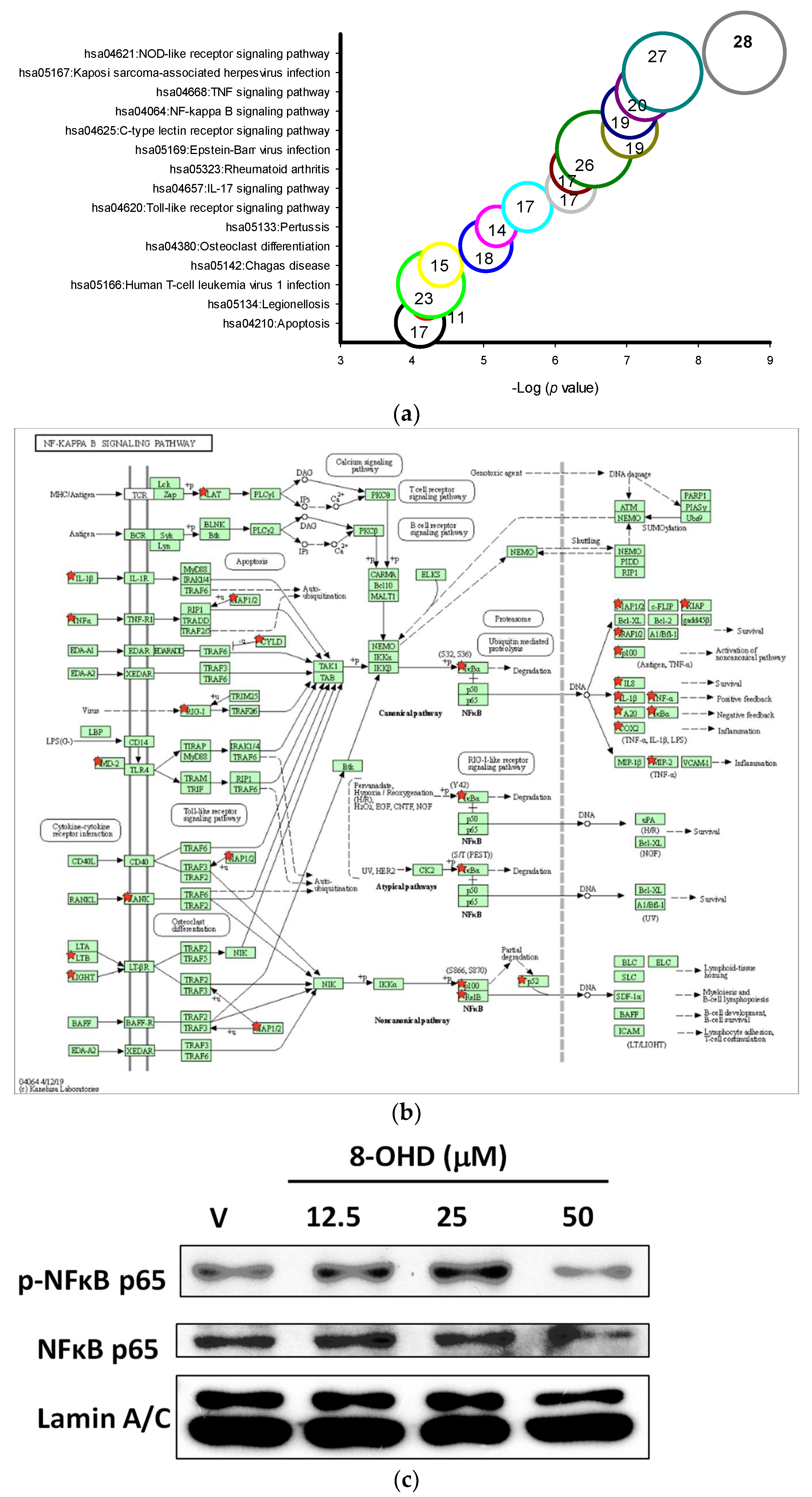 Biomolecules 13 01575 g006a