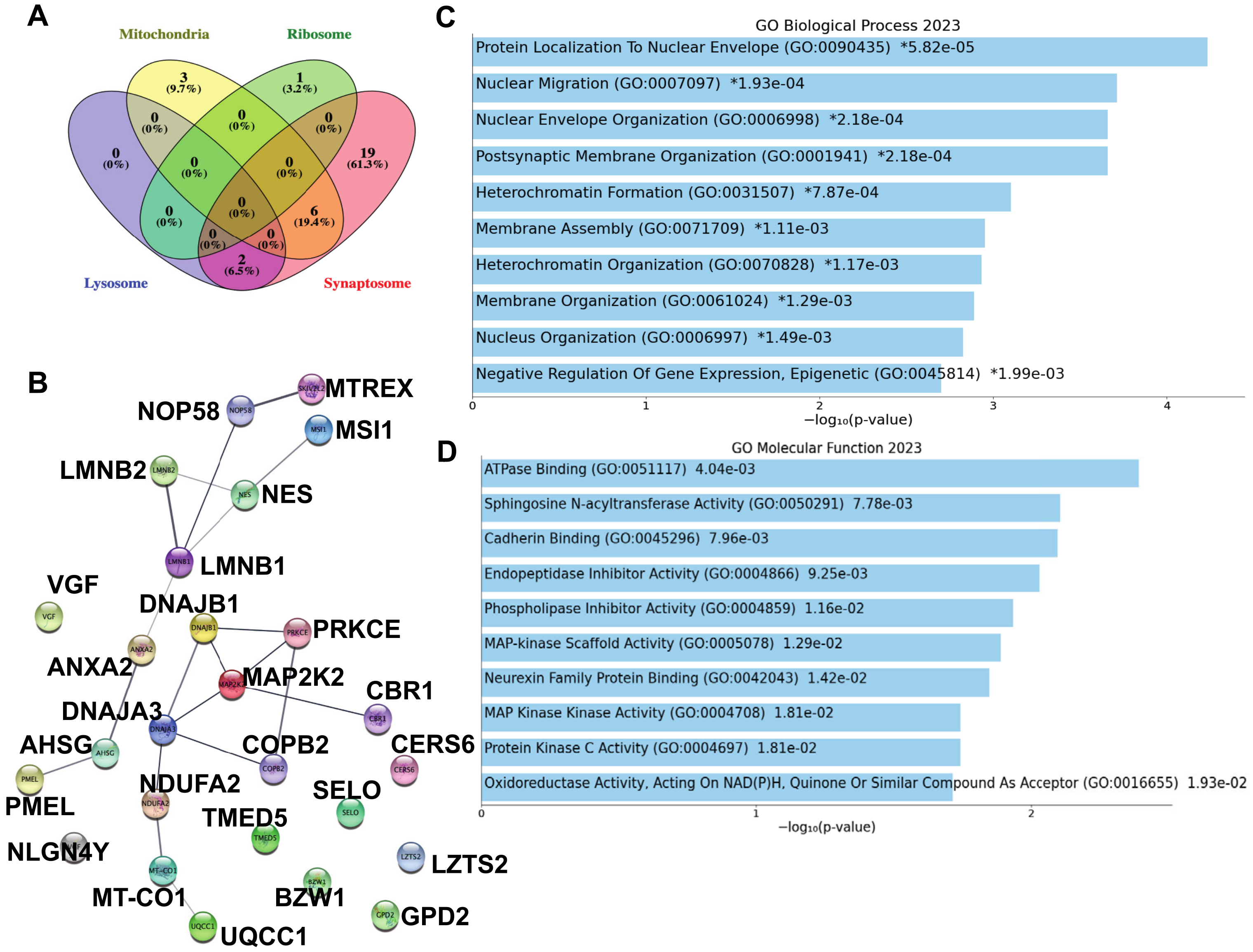 Biomolecules 13 01597 g003