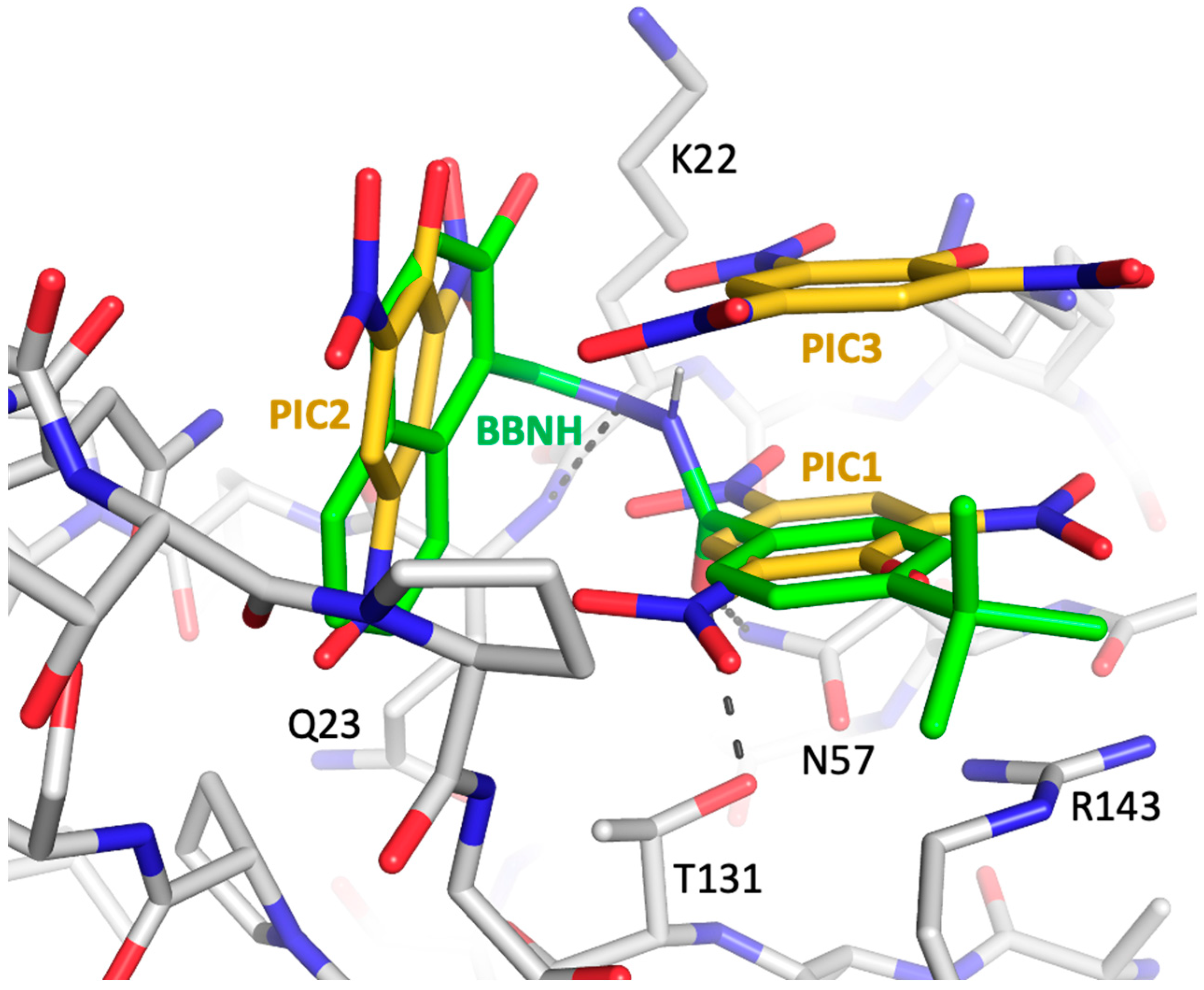 Biomolecules 13 01603 g009