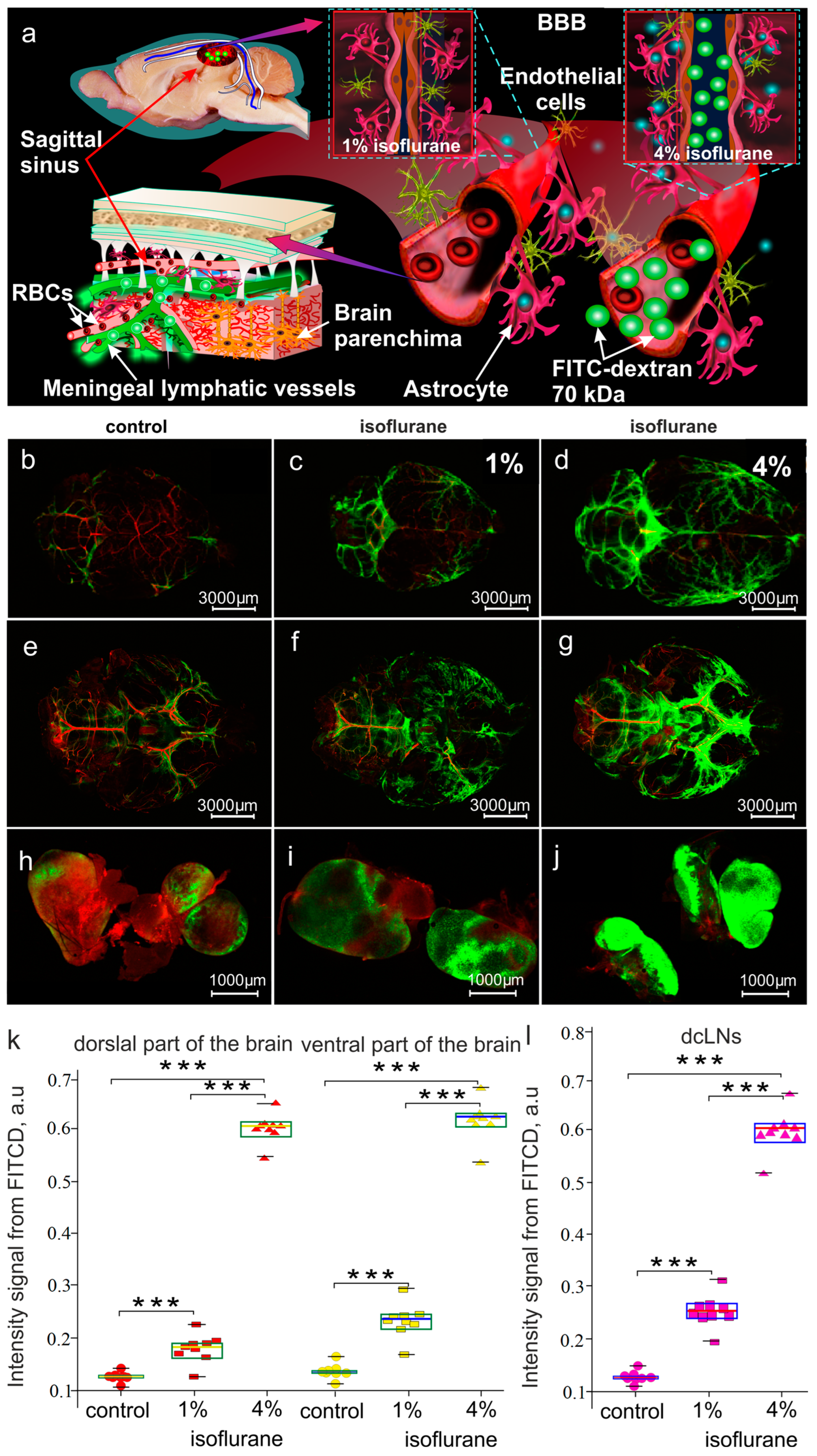 Biomolecules 13 01605 g004