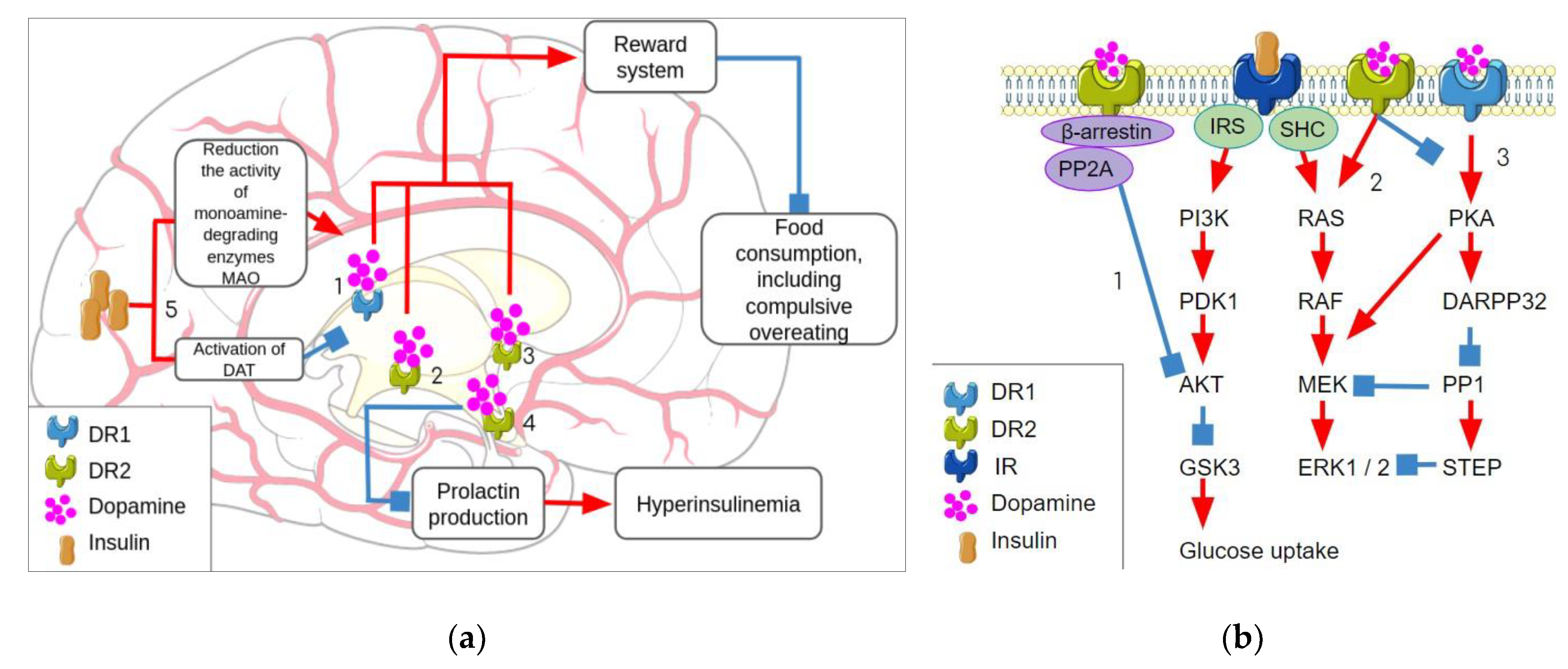 Biomolecules 13 01618 g002 Biomolecules 13 01618 g002
