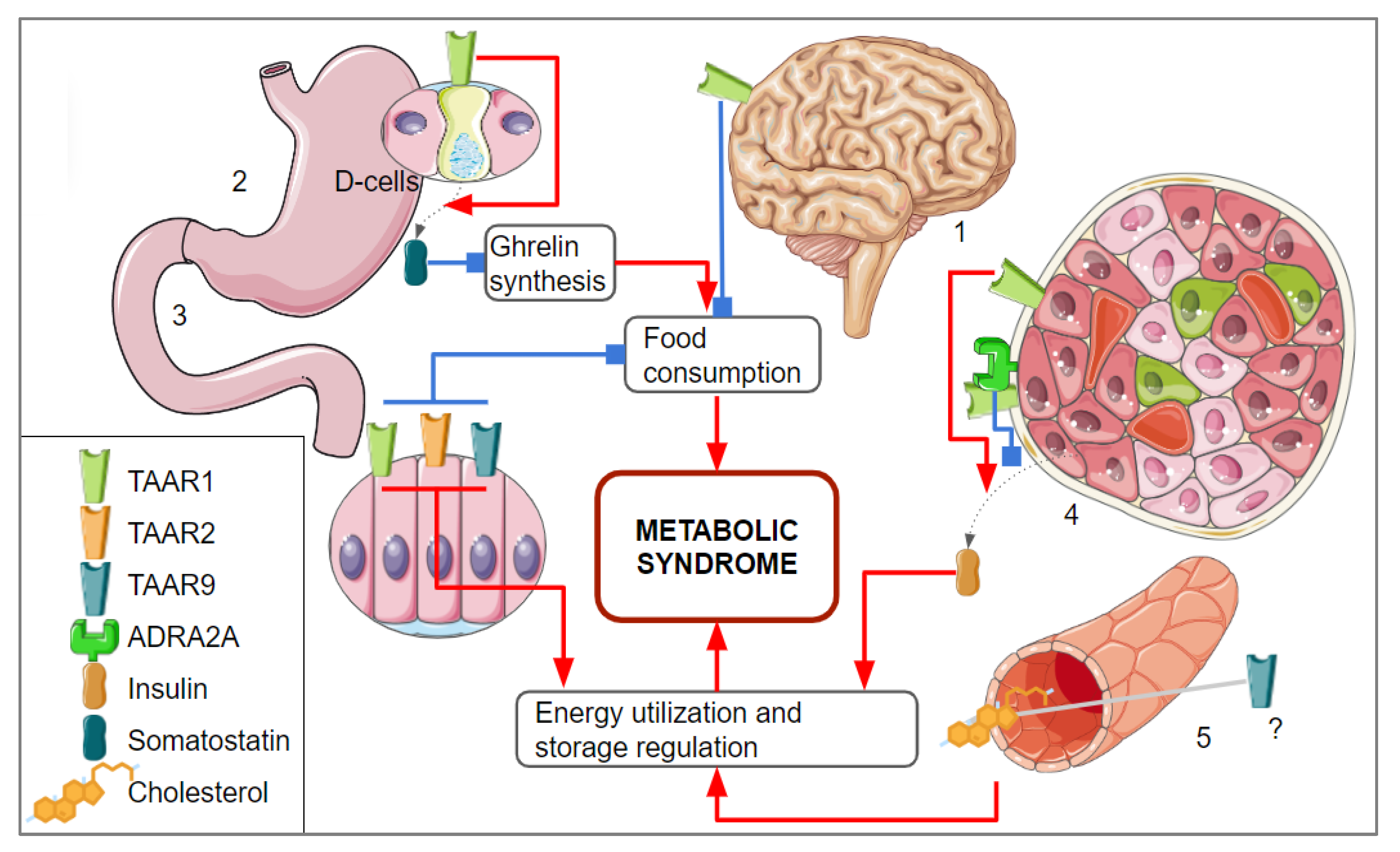 Biomolecules 13 01618 g003 Biomolecules 13 01618 g003