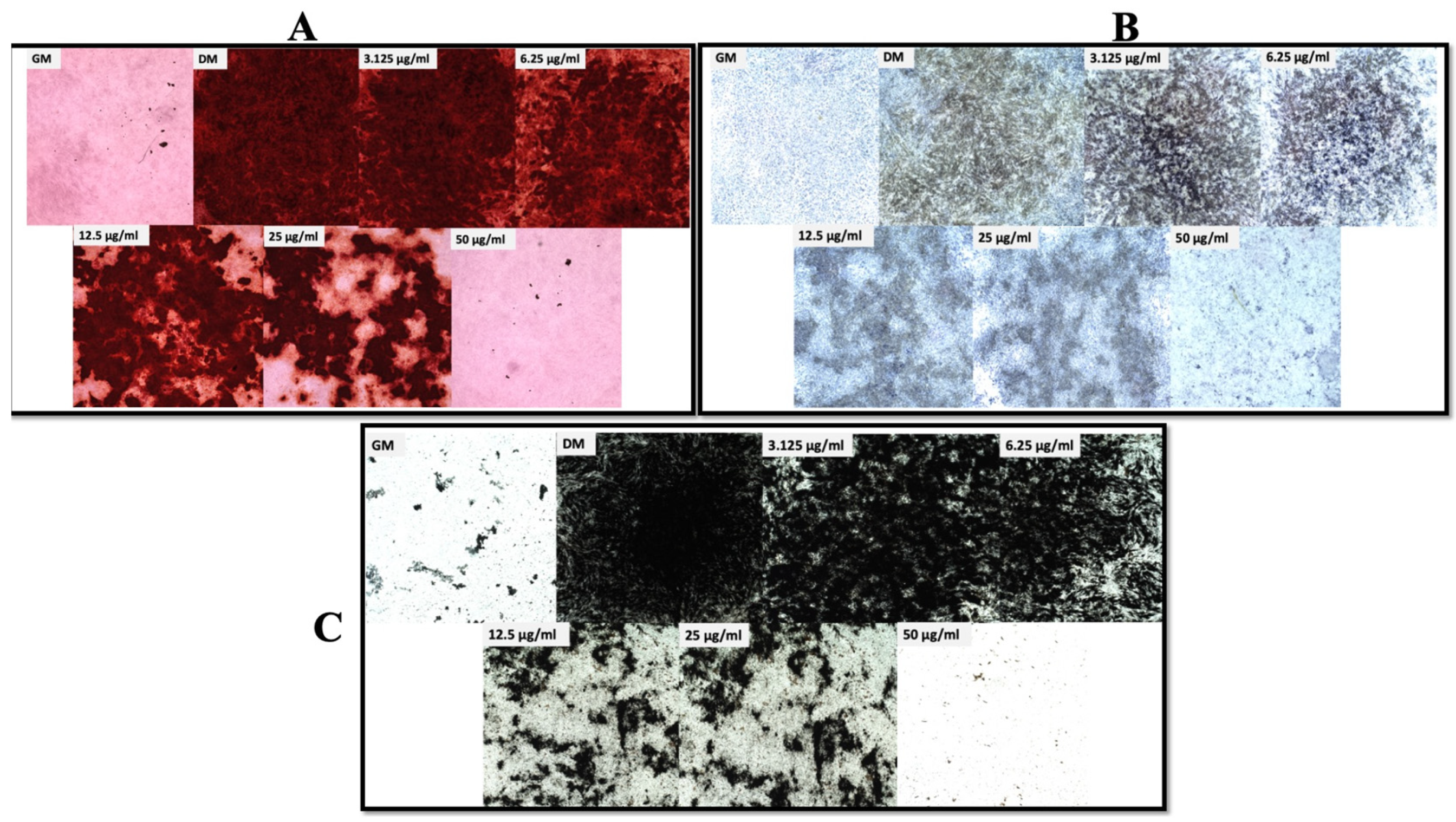 Biomolecules 13 01626 g004