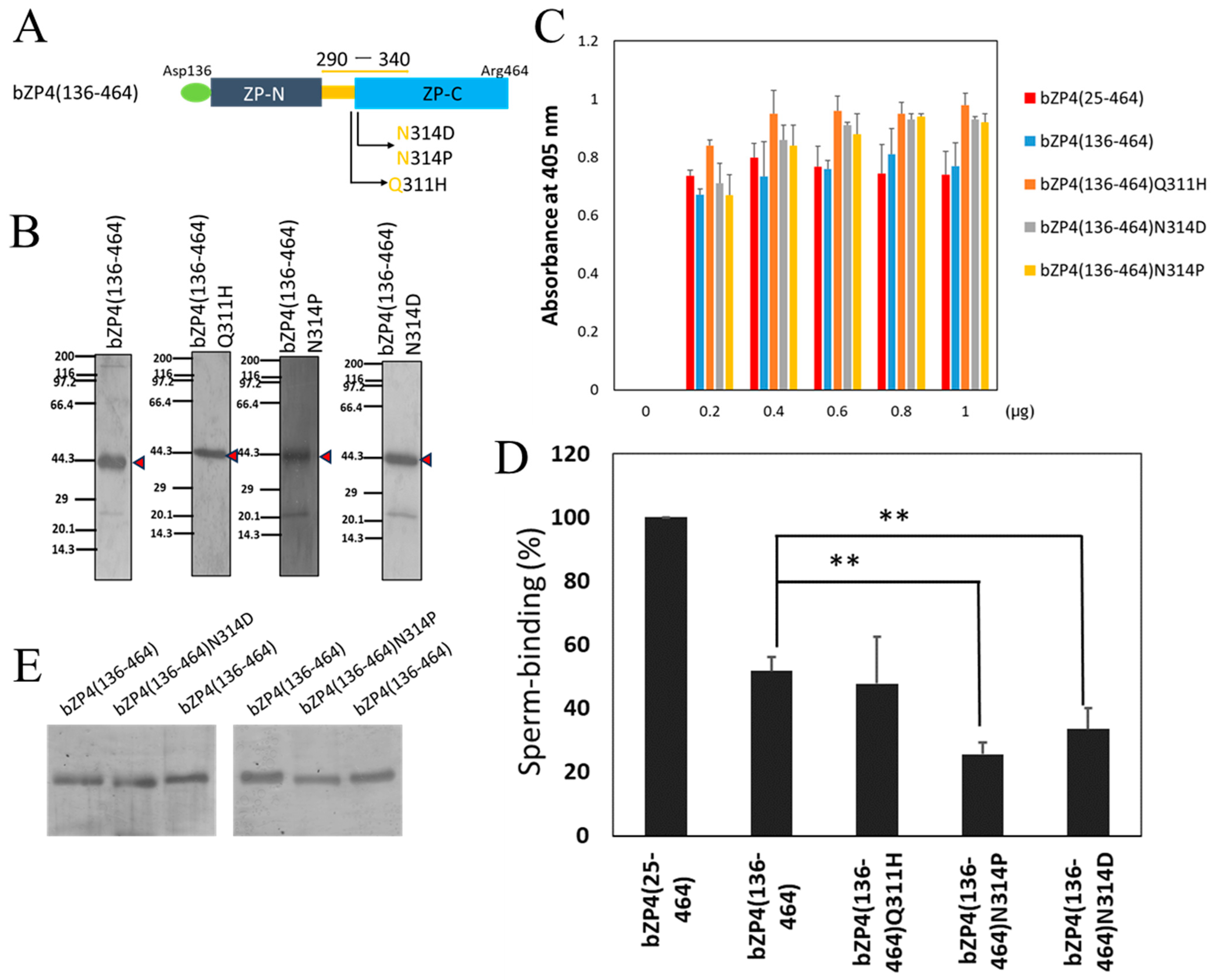 Biomolecules 13 01636 g003