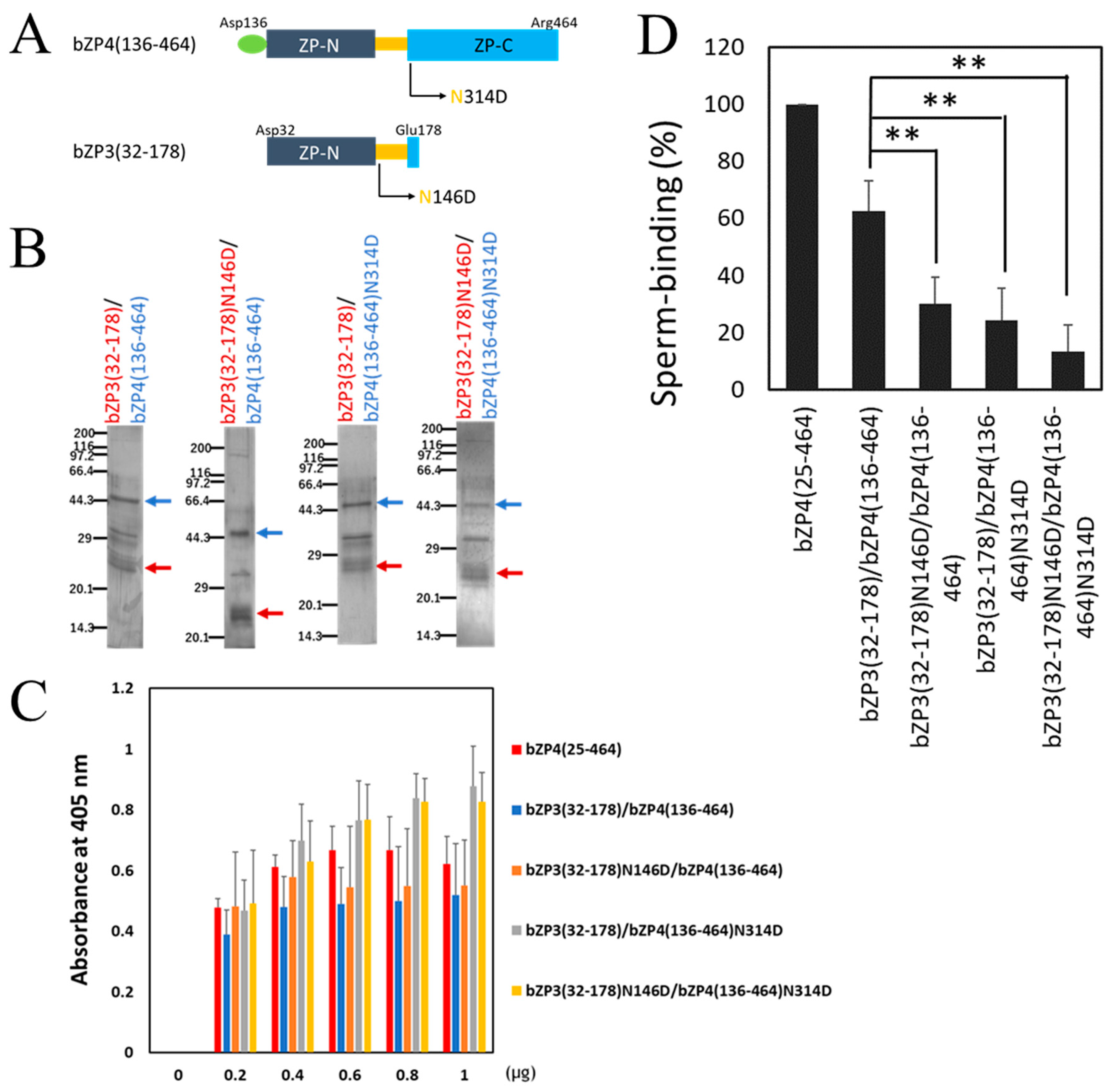Biomolecules 13 01636 g004