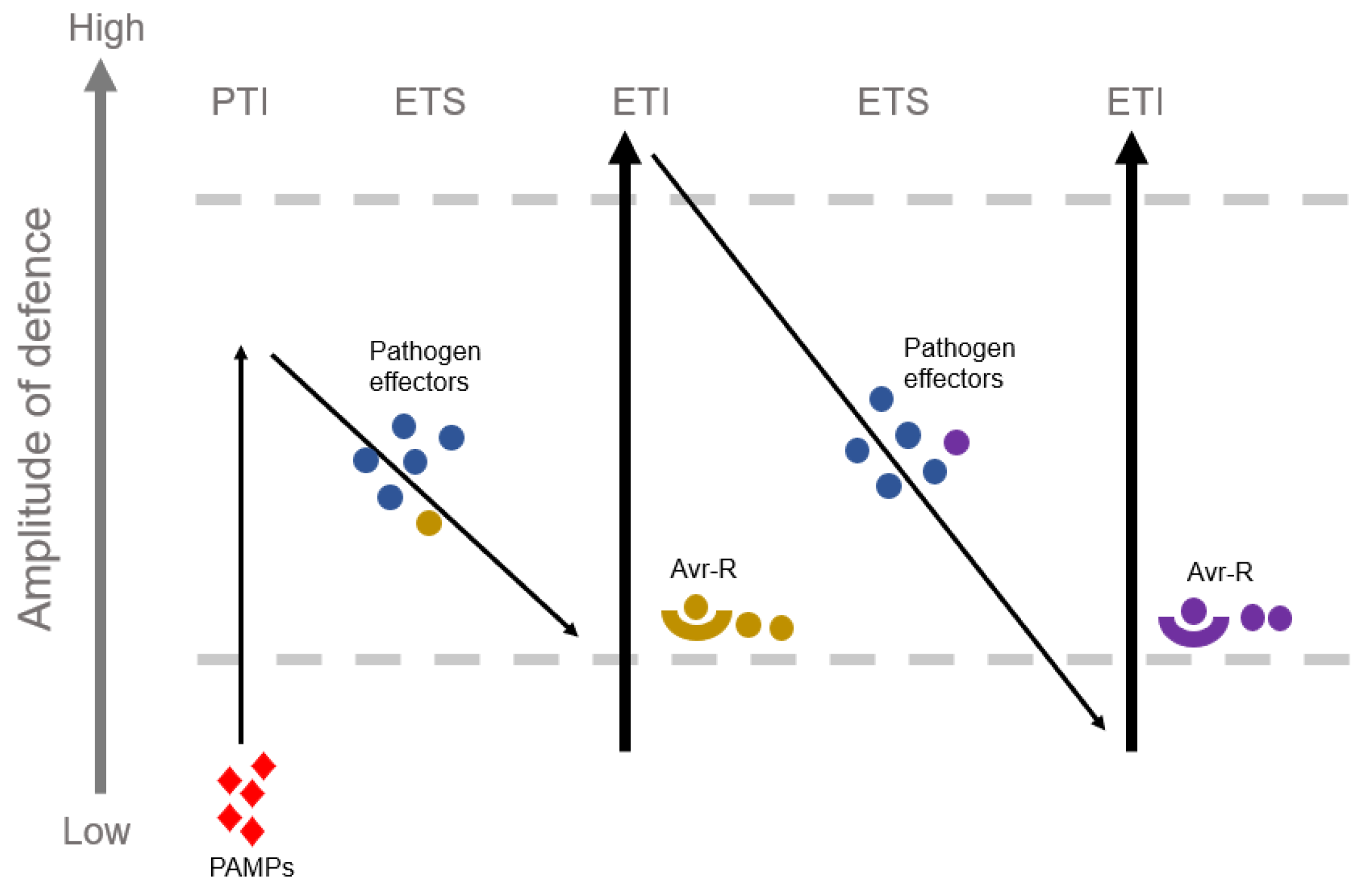 Biomolecules 13 01650 g002
