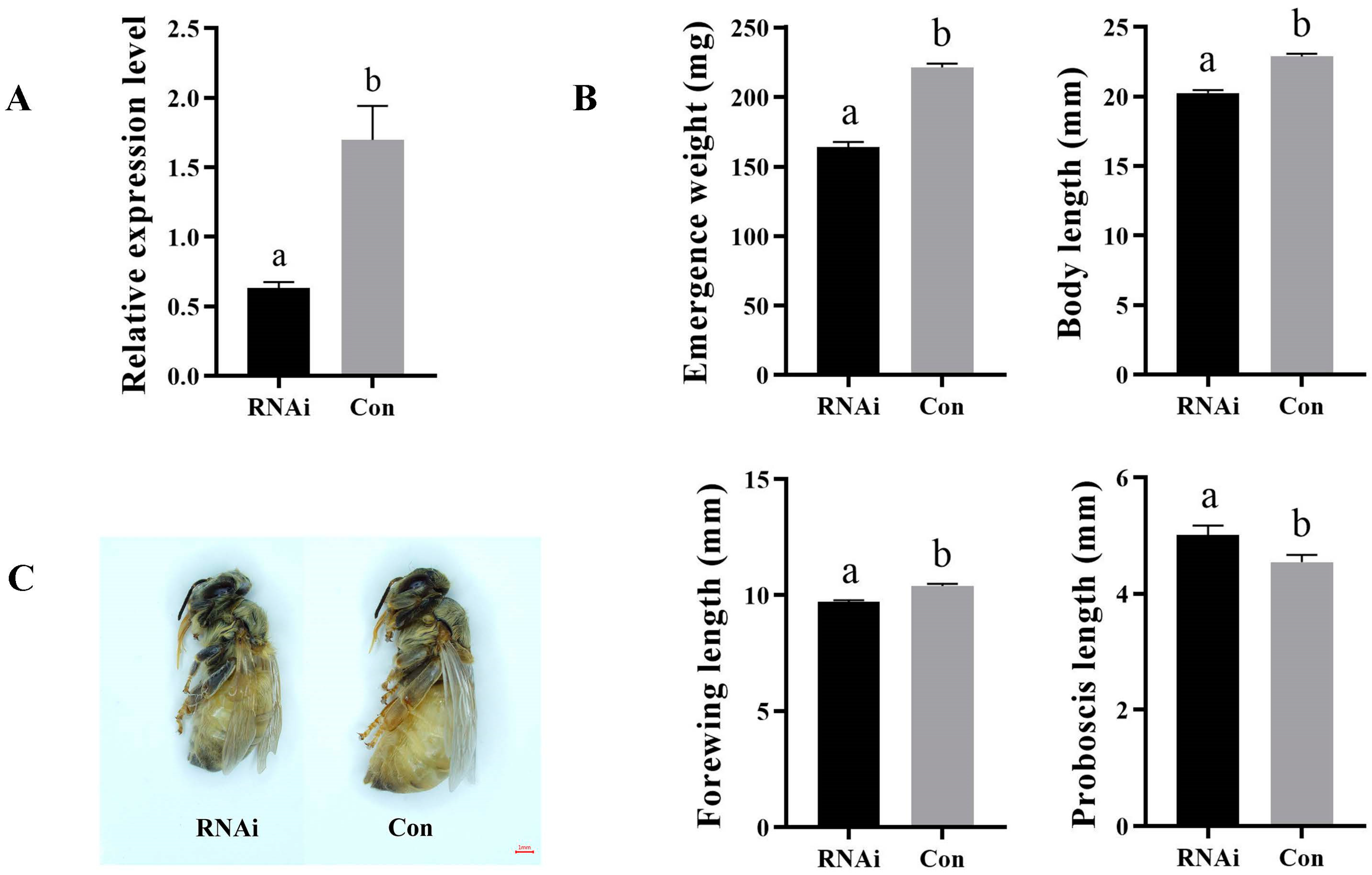 Biomolecules 13 01657 g003