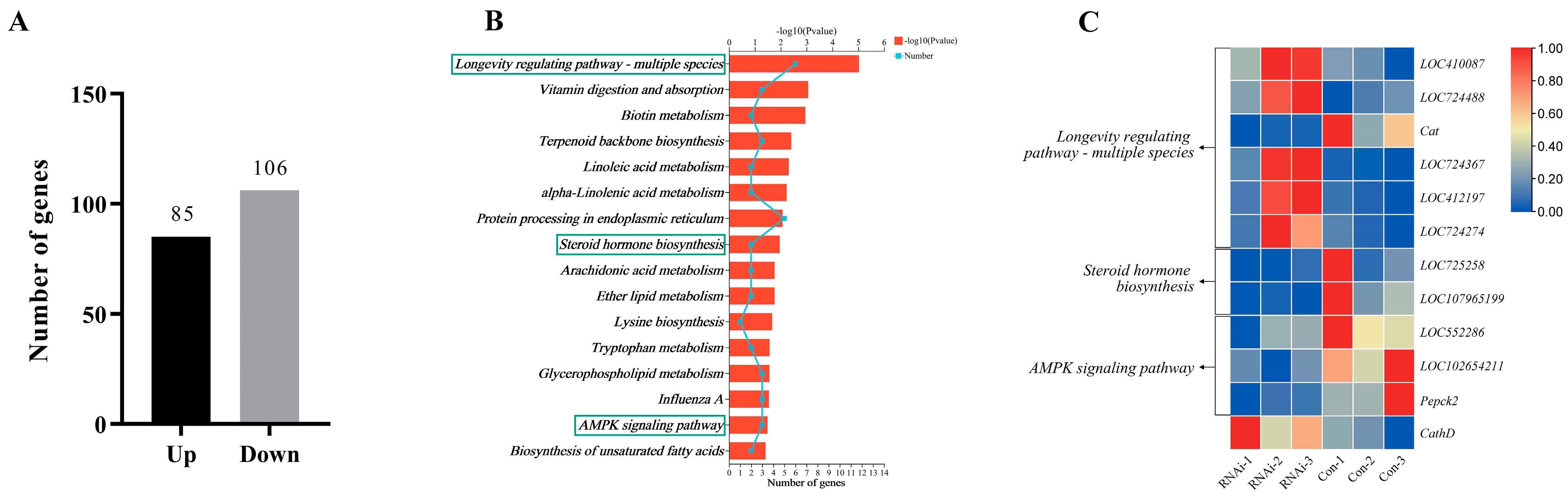 Biomolecules 13 01657 g004